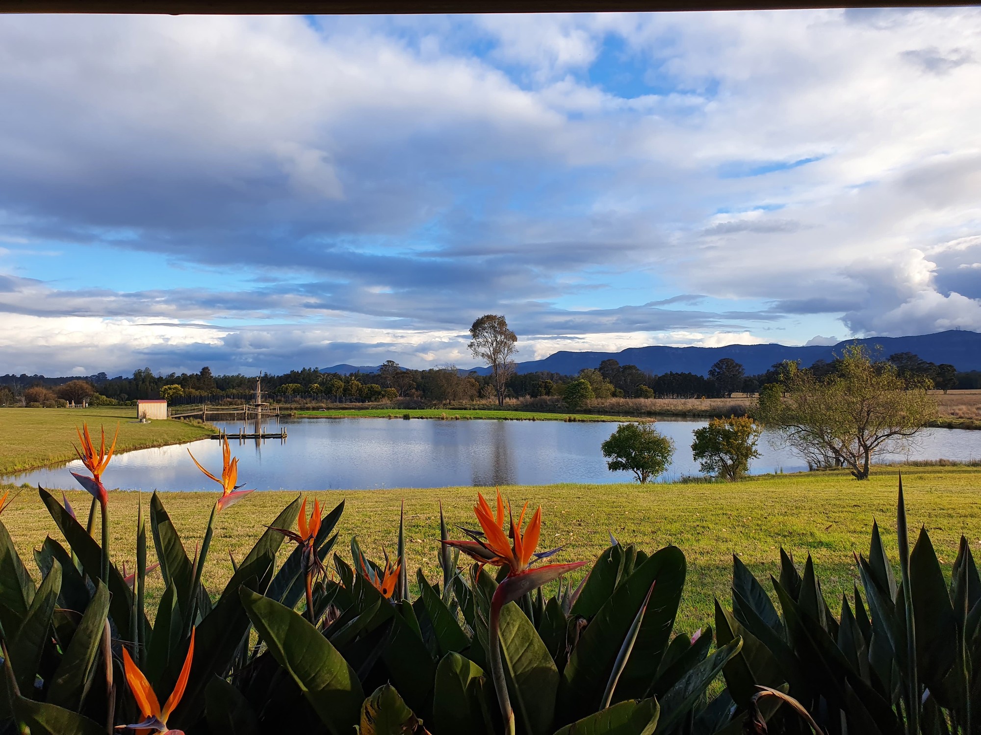 Lake with a fountain in the Hunter Valley