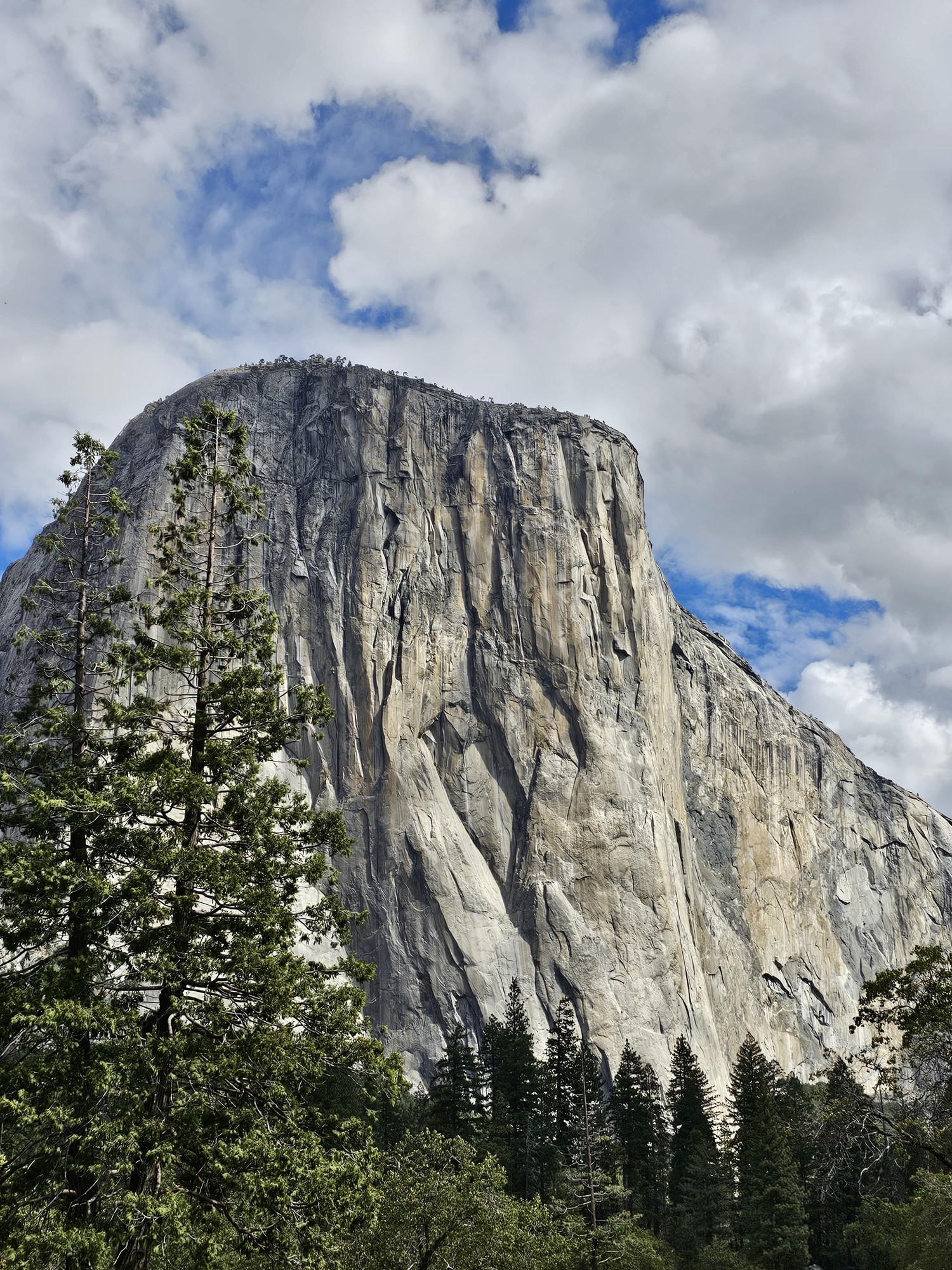 The granite face of El Capitan rising above the pines of Yosemite Valley