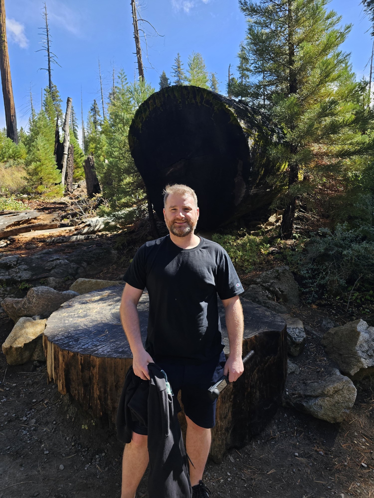 Me standing in front of a felled giant sequoia trunk in Mariposa Grove, Yosemite