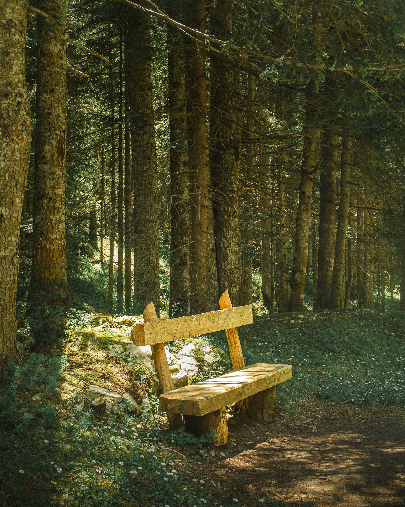 Nebo vyřezaný pařez jako lavičku na chatu?