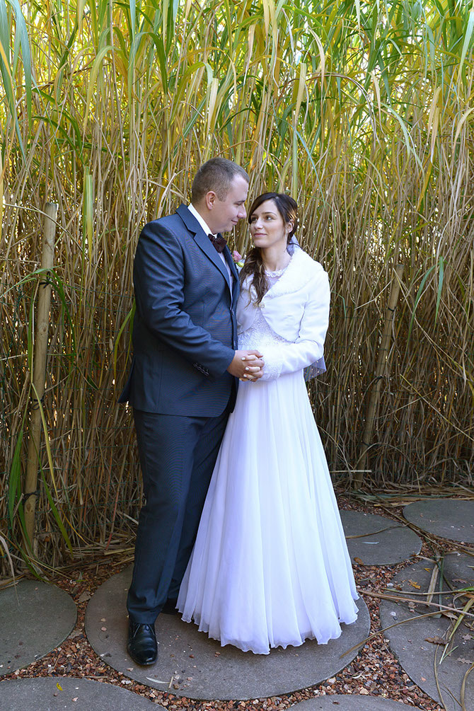 Sesja ślubna - para w trzcinach