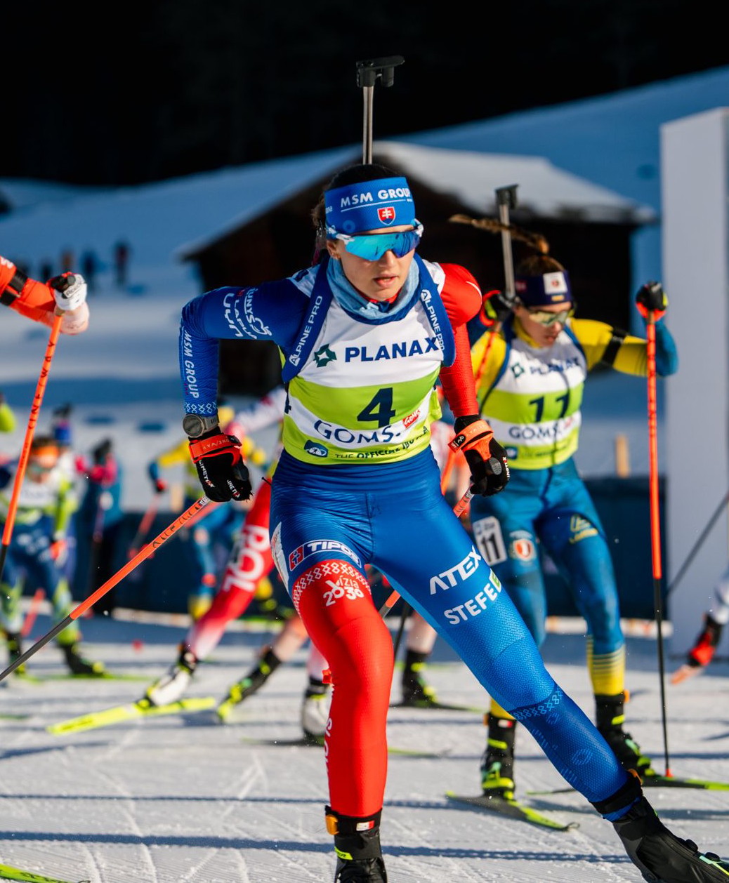 Michaela Straková – portrét