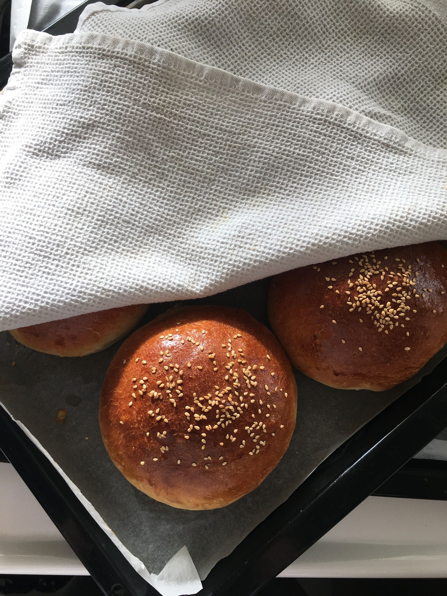Čerstvé burgerové bulky Bunsky