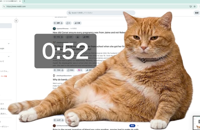 Cat Gatekeeper extensie op een browserscherm