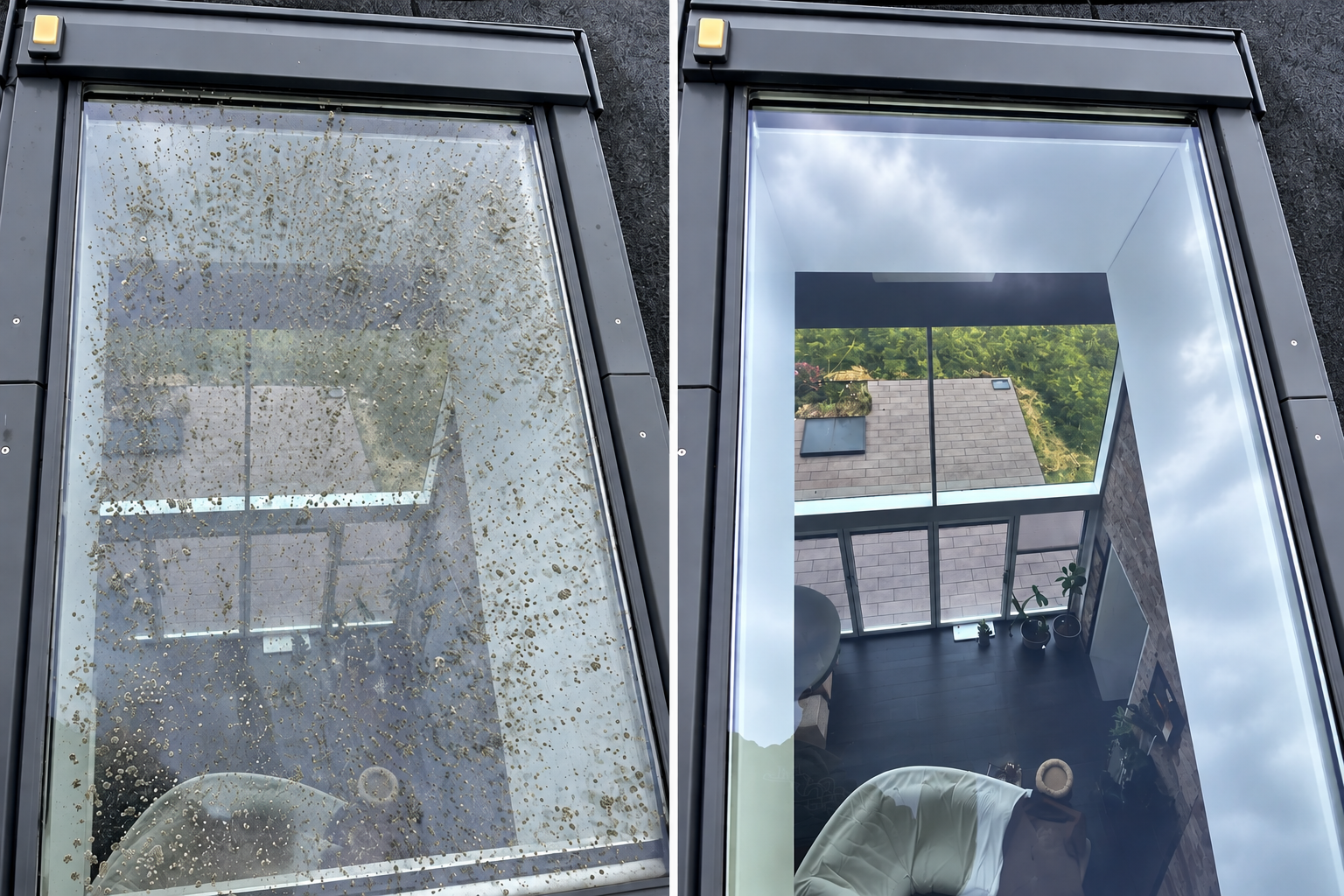 Velux/Ovenlysvindue med alger før og efter rensning