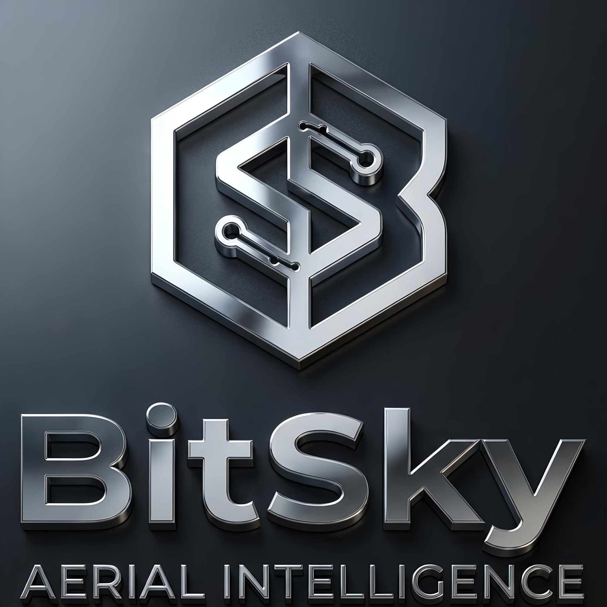 BitSky brand identity and drone equipment