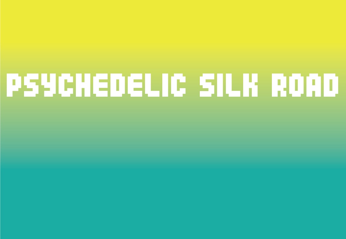 Vue de l'exposition Psychedelic Silk Road