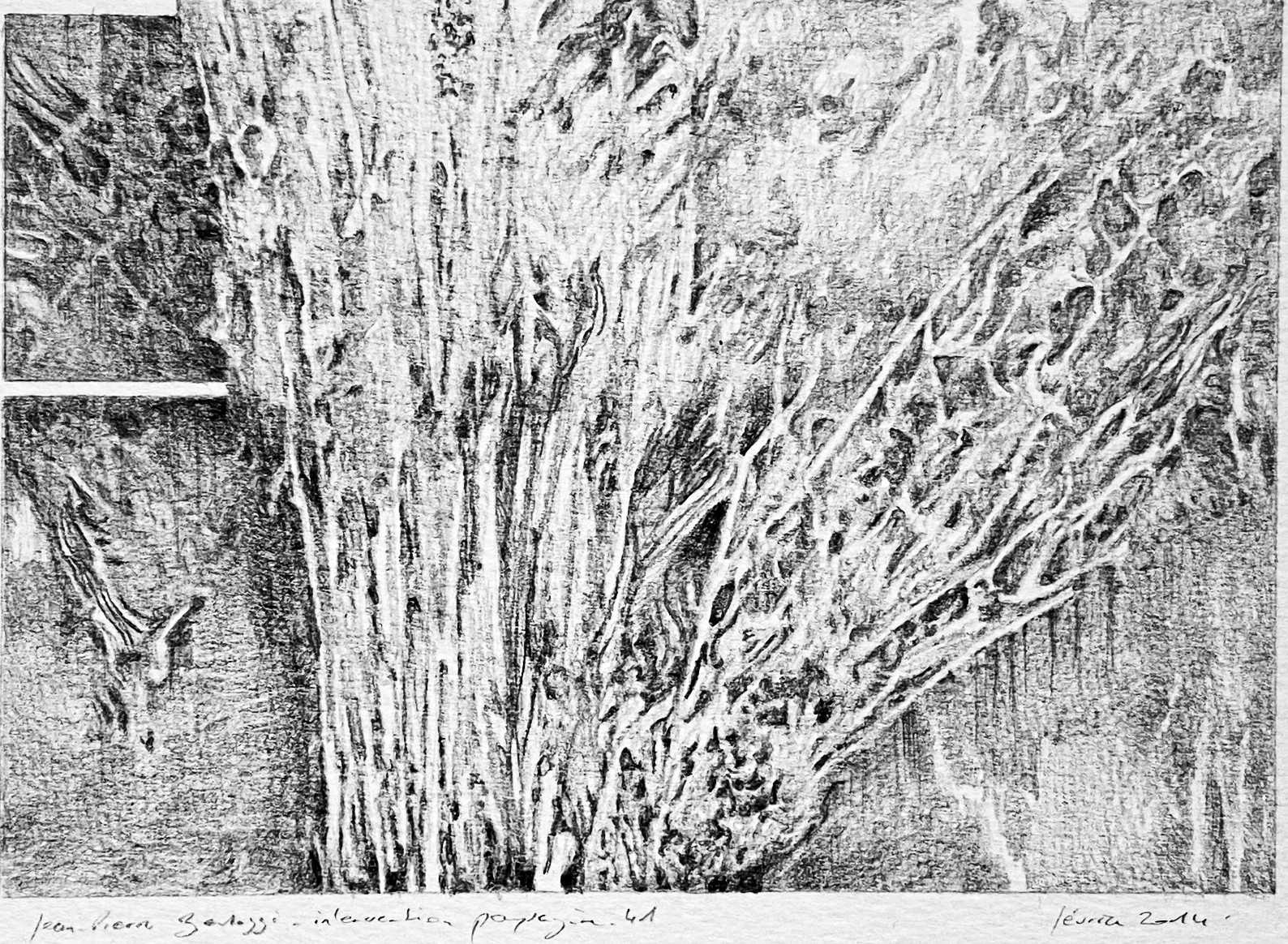 Œuvre de Jean-Pierre Bertozzi