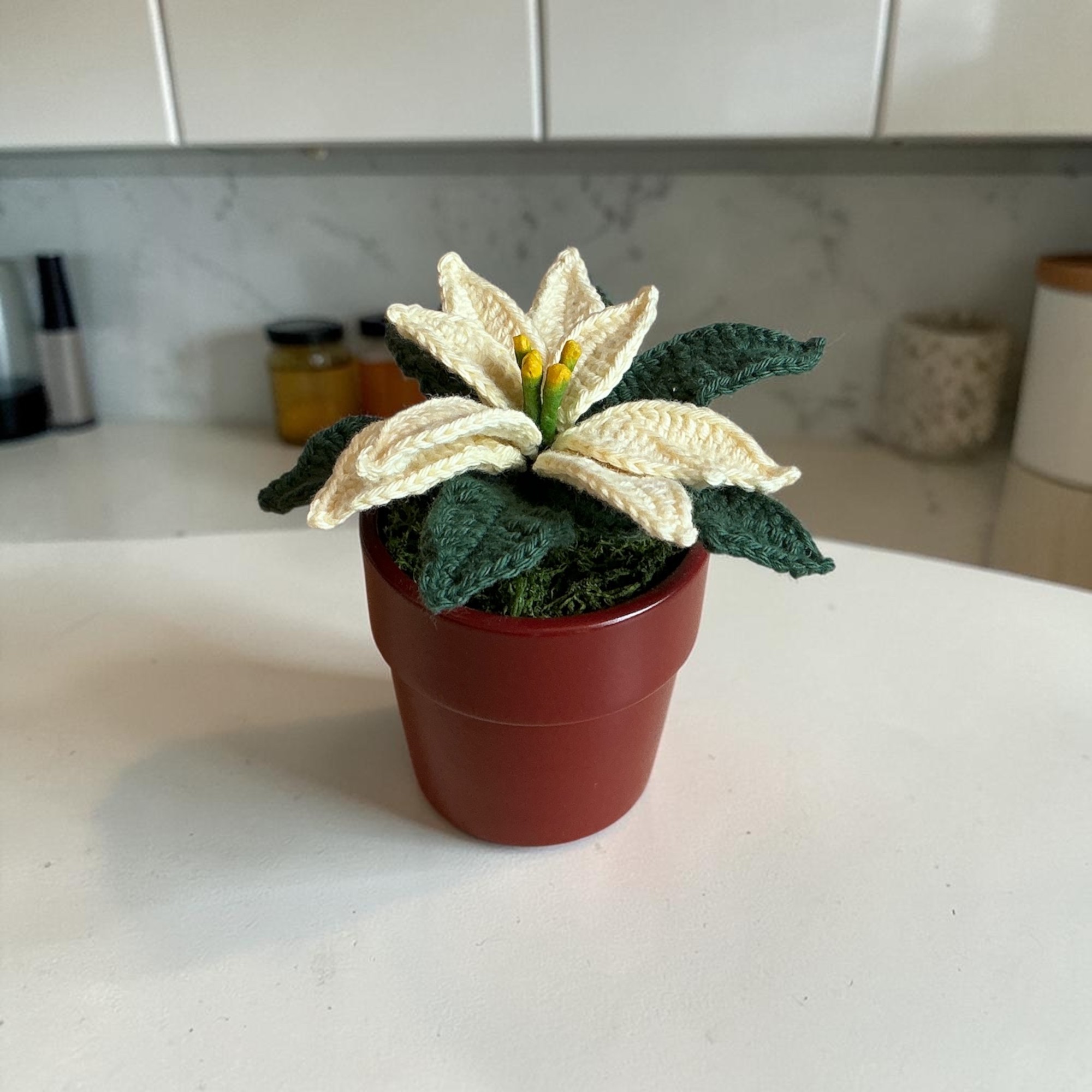 Handmade Crochet Cream Poinsettia Plant — Everlasting Artificial Christmas Flower