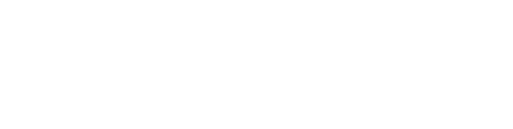 Audit nájmu