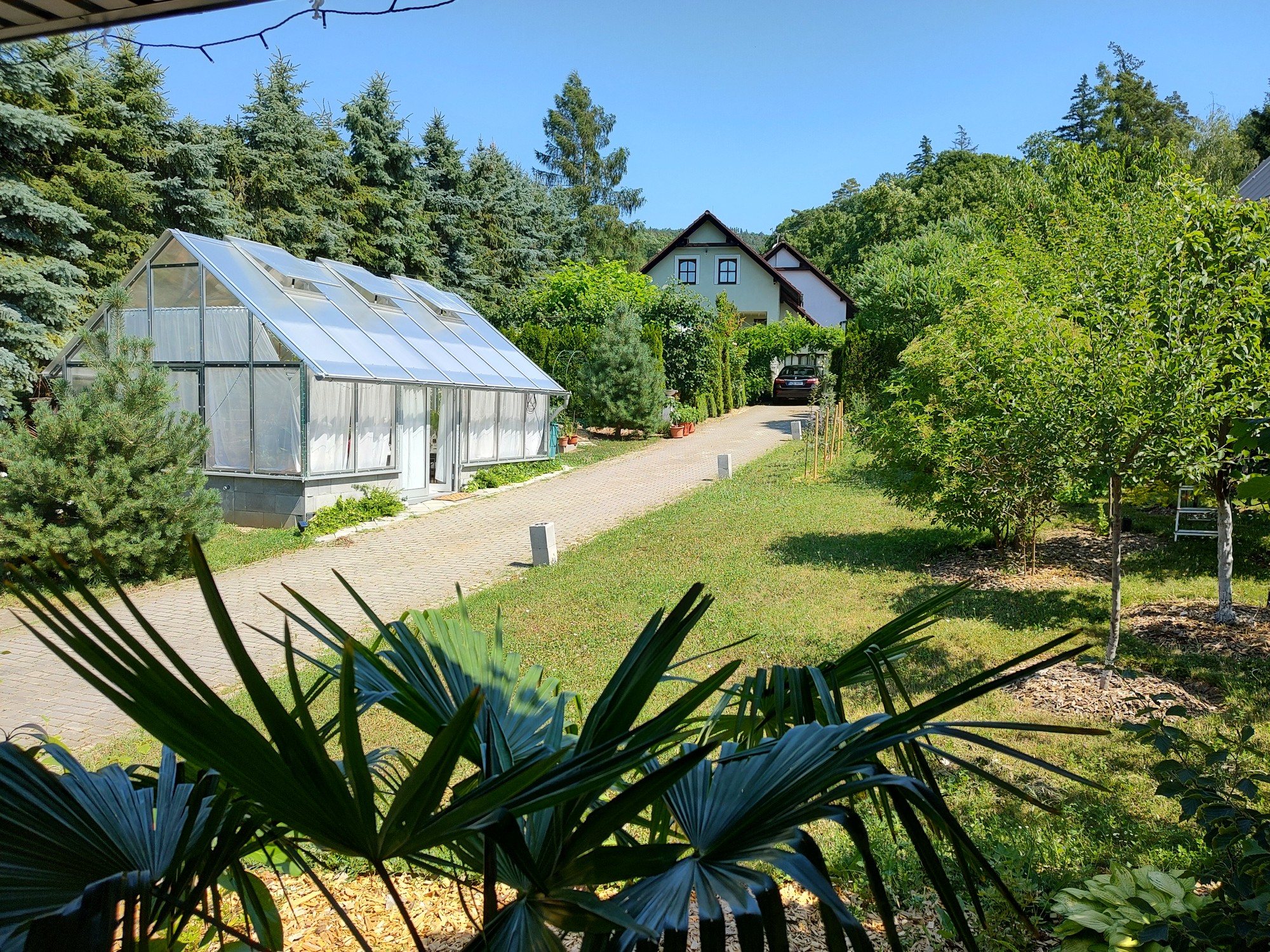 Výhled do zahrady
