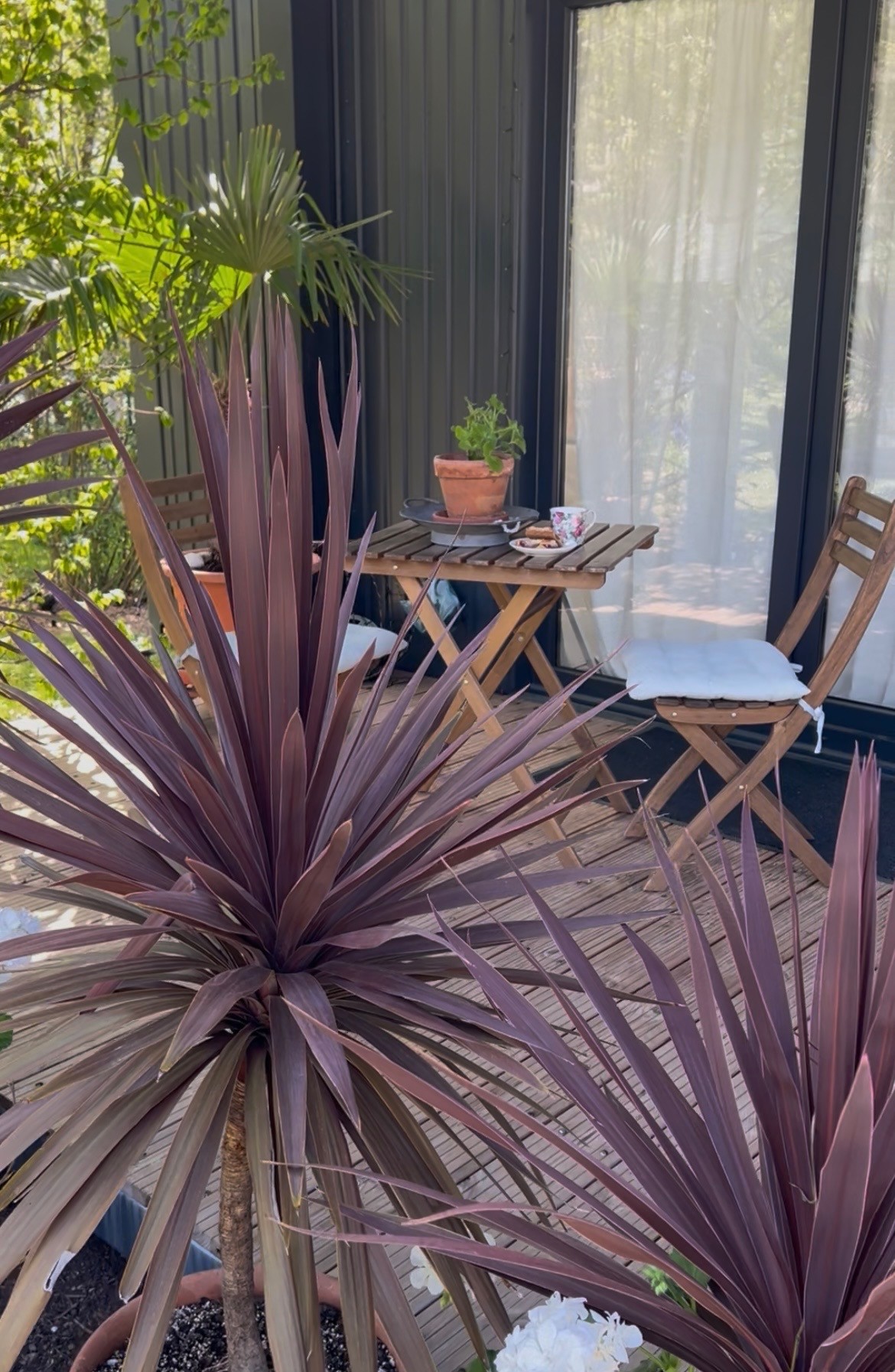 Tiny Garden – zahrada