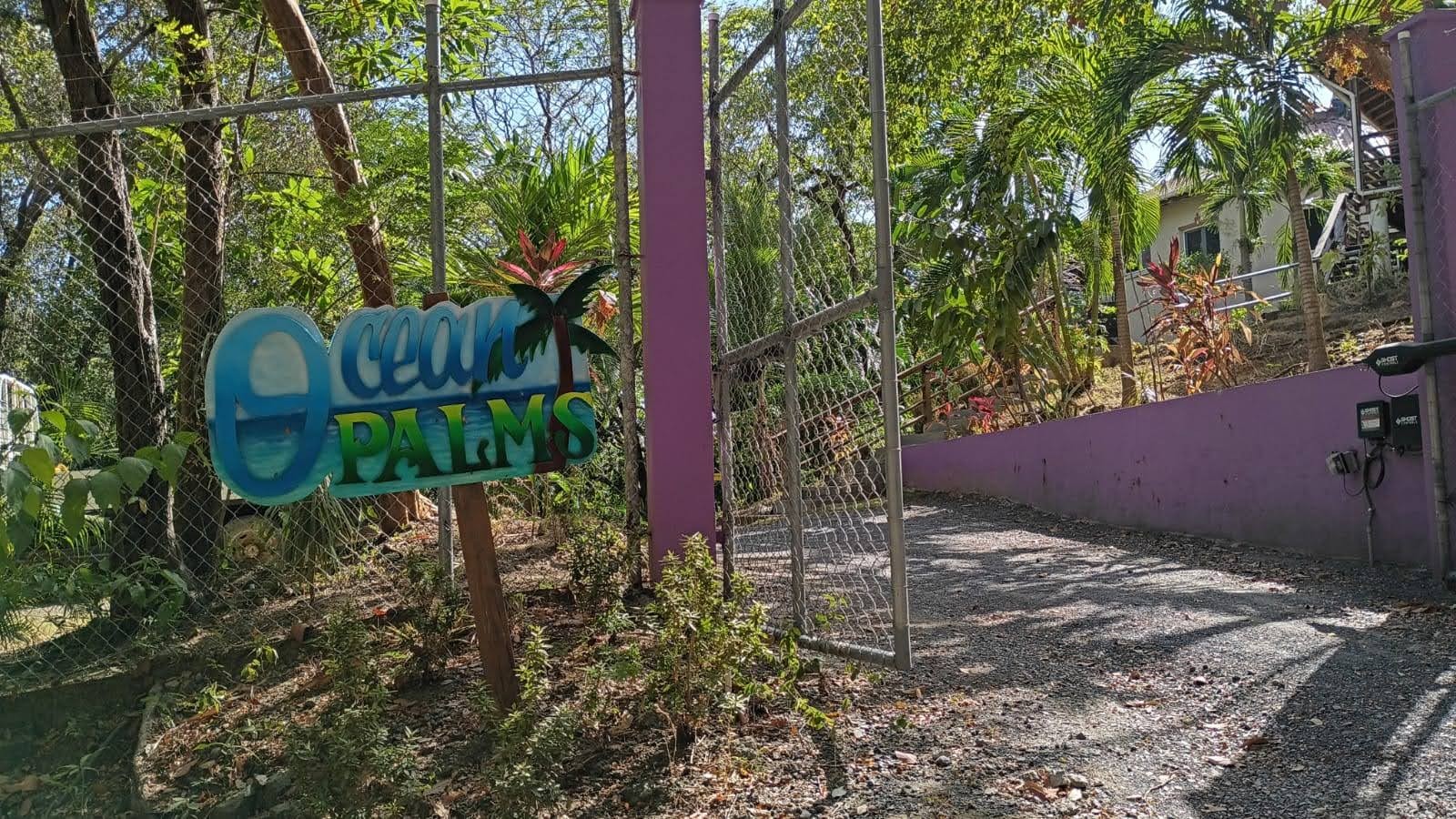 Ocean Palms Sign