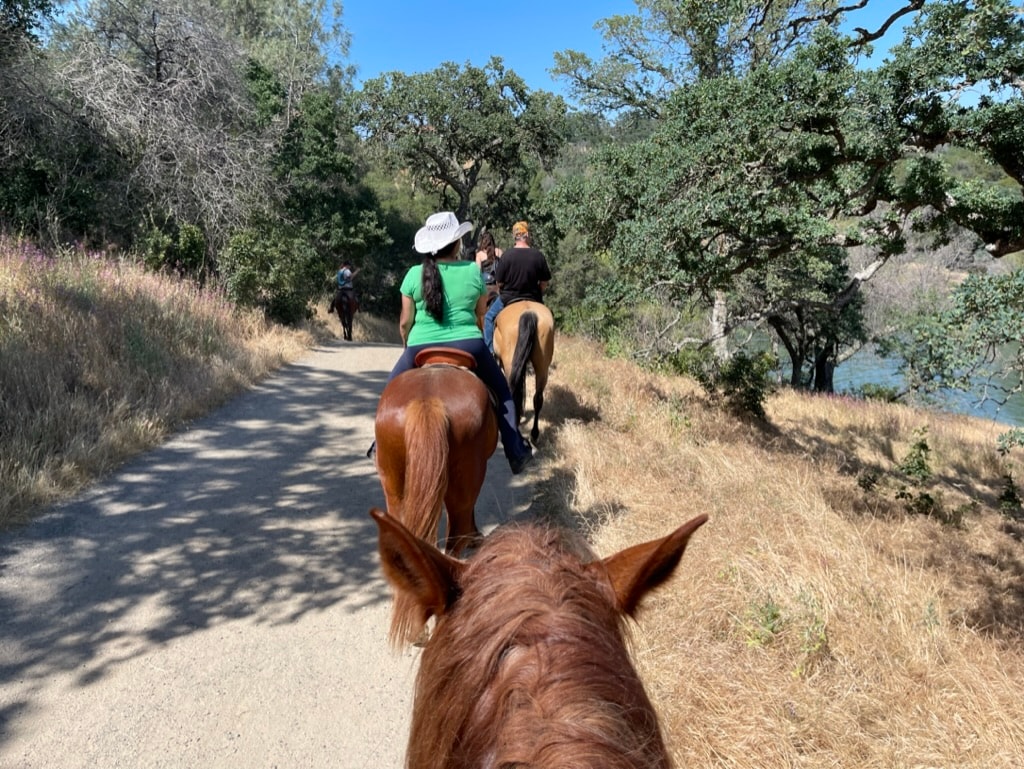 Trail riding through nature at Happy Hooves and Art Equine Therapy