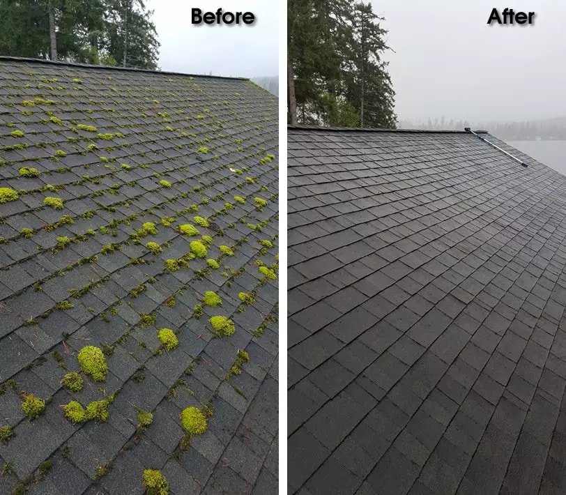 Before and after roof cleaning comparison - moss covered roof transformed to clean shingles