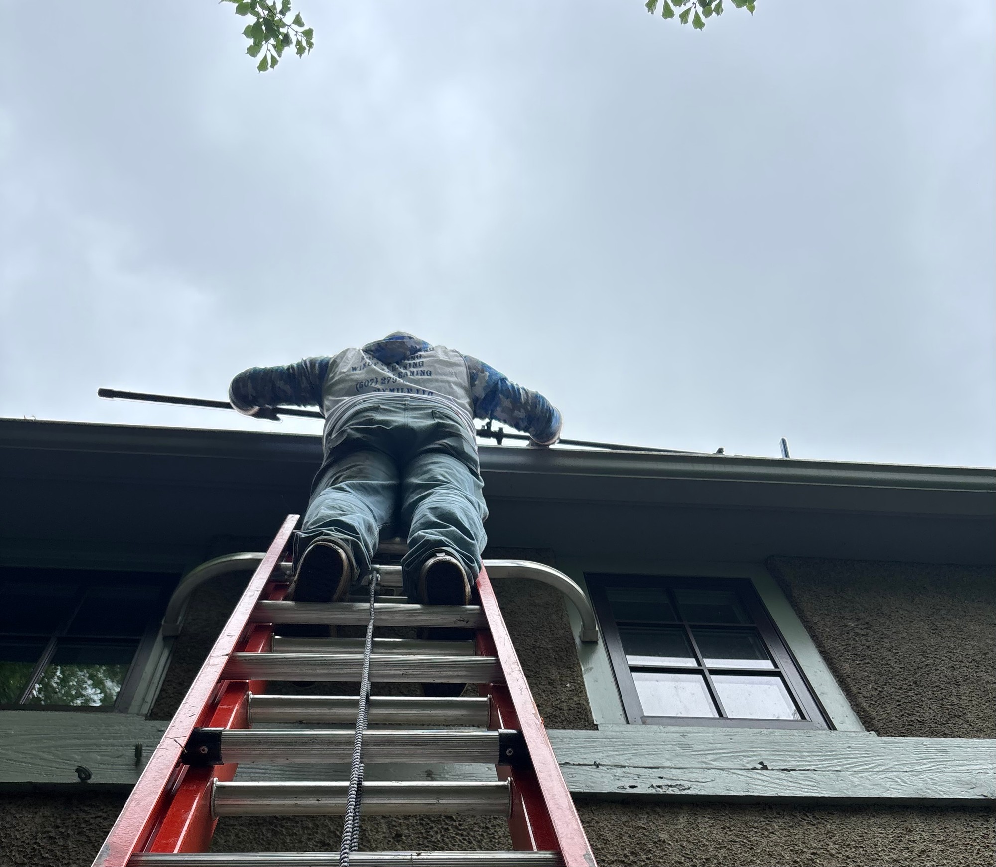 Gutter Cleaning