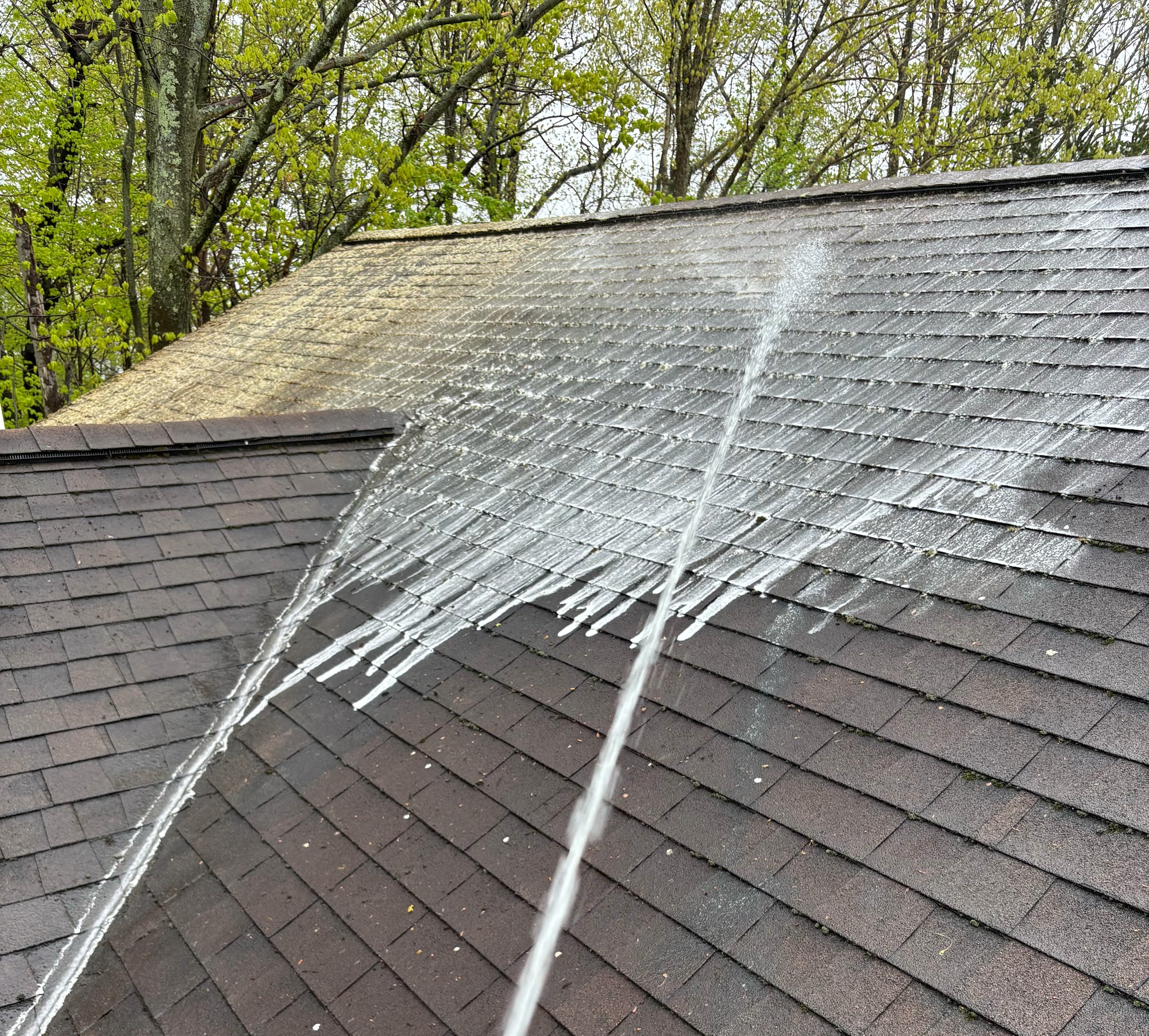 Roof Cleaning