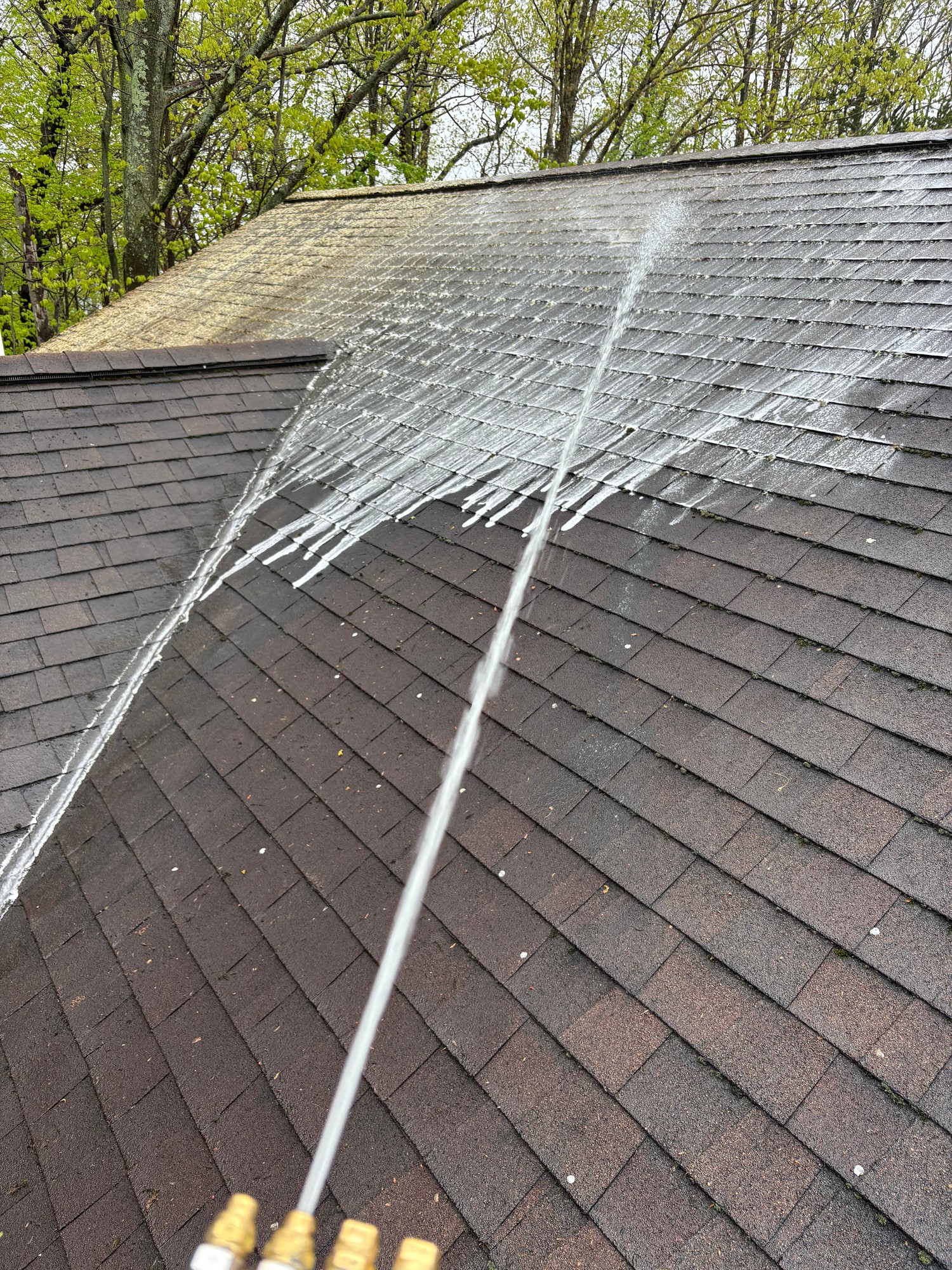 Soft wash roof cleaning in action
