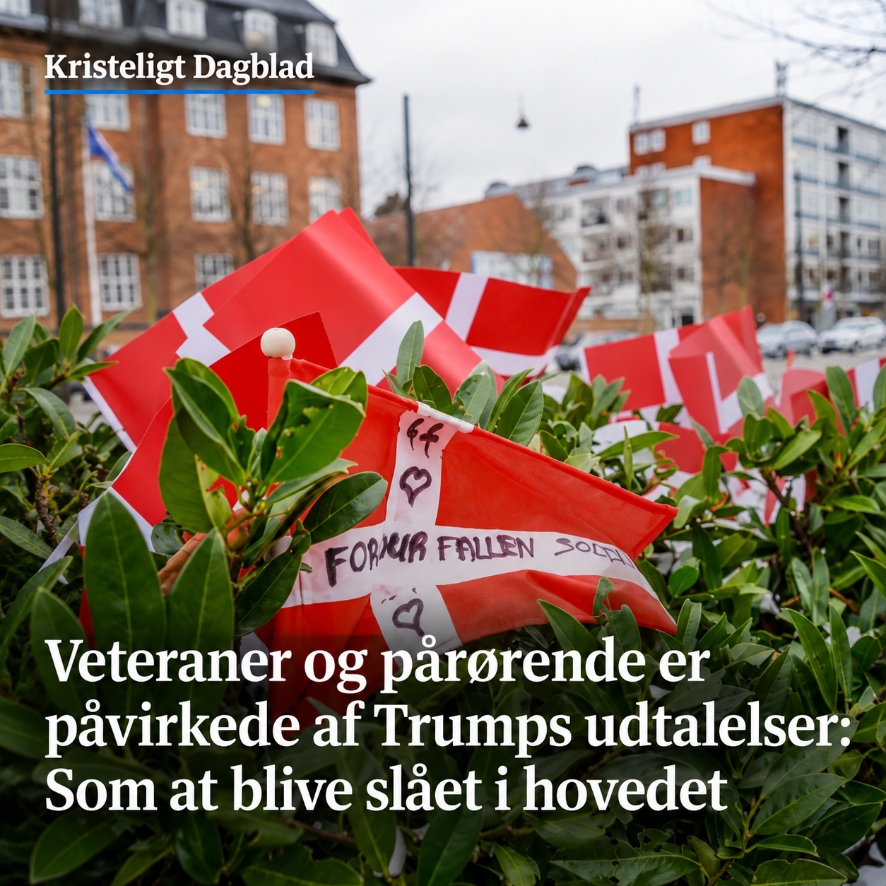 Kristeligt Dagblads opslag om veteraner og pårørende med danske flag ved en mindemarkering