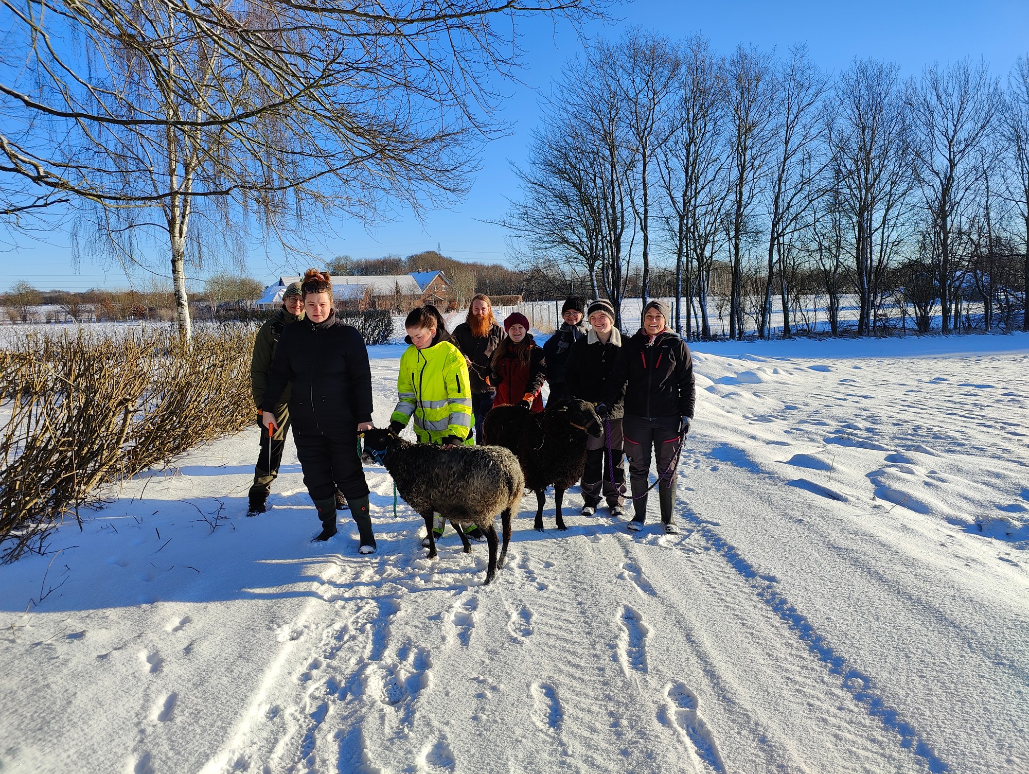 Glimt fra Nordvang, foto 17