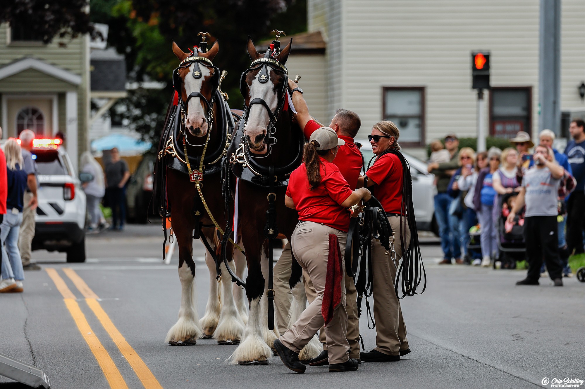 Big Hooves, Big History: Budweiser's Famed Clydesdales Commemorate Milestone 150 Yrs - in Baldwinsville NY by I Rock Shots, photo 19