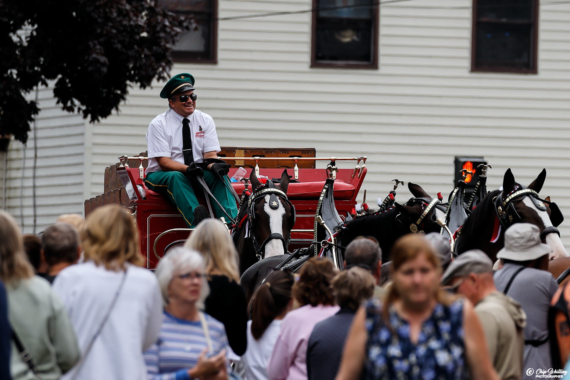 Big Hooves, Big History: Budweiser's Famed Clydesdales Commemorate Milestone 150 Yrs - in Baldwinsville NY by I Rock Shots, photo 18