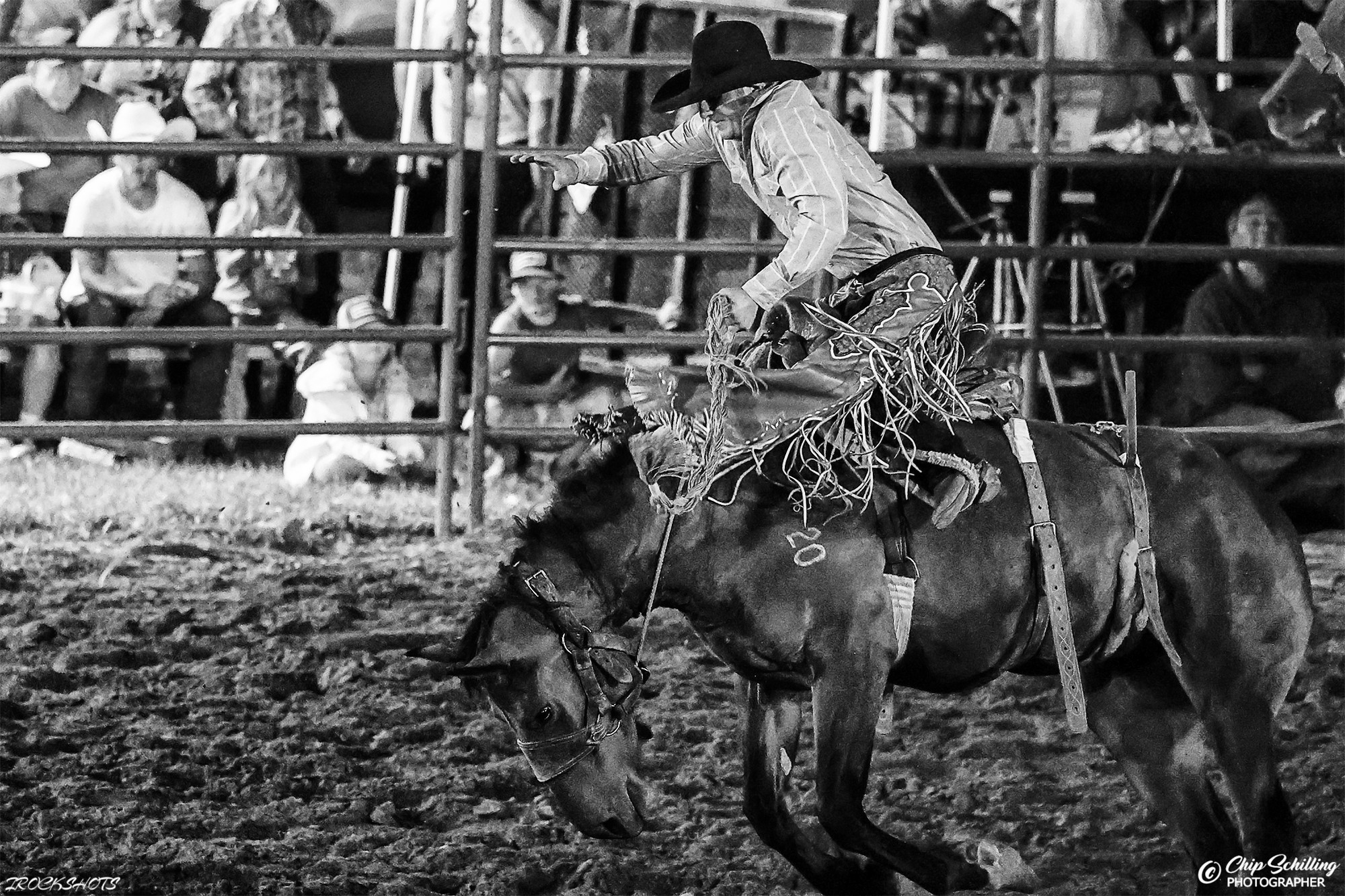 Dust, Drama, and Eight-Second Rides: The 2026 Frozen Ocean Rodeo Roars Into Auburn! by I Rock Shots, photo 26