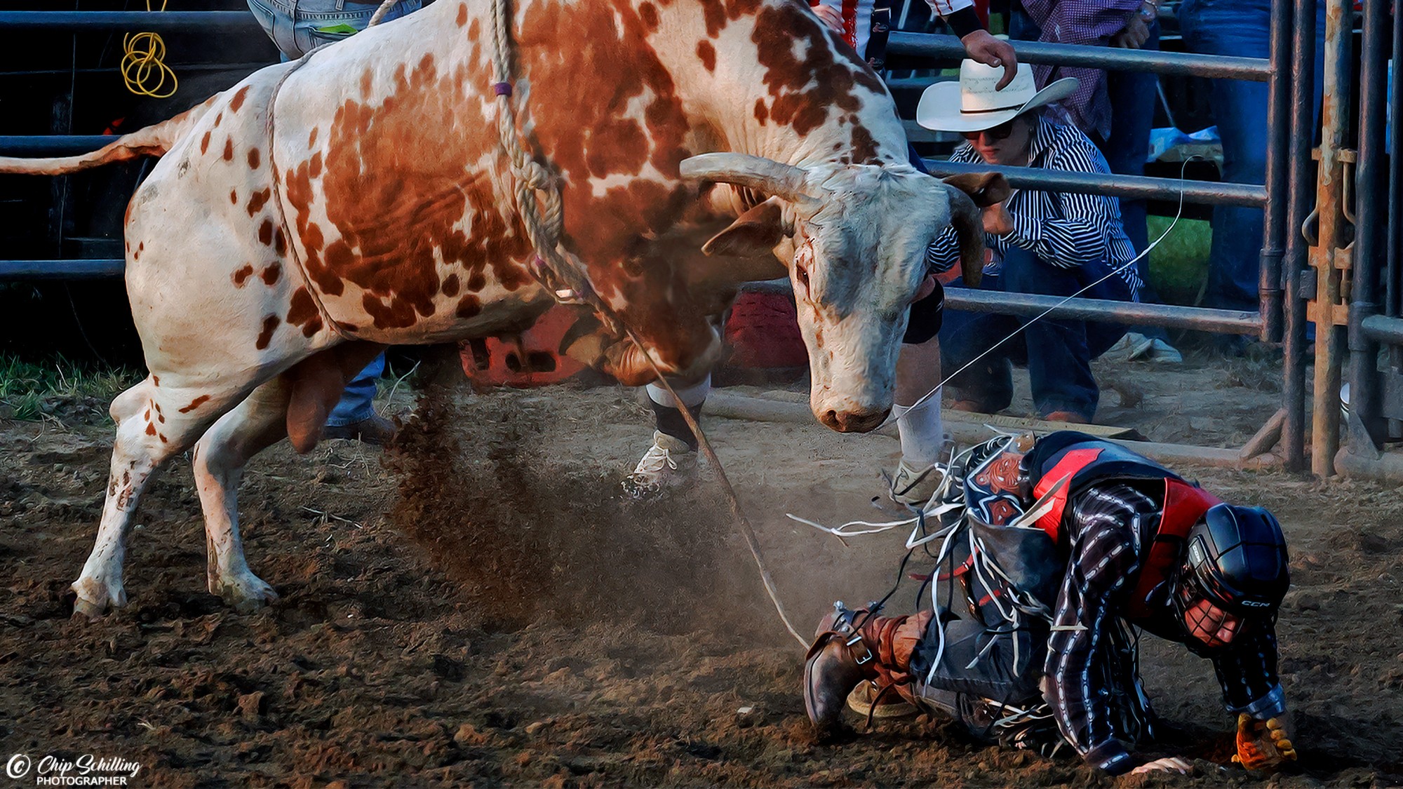 Dust, Drama, and Eight-Second Rides: The 2026 Frozen Ocean Rodeo Roars Into Auburn! by I Rock Shots, photo 33