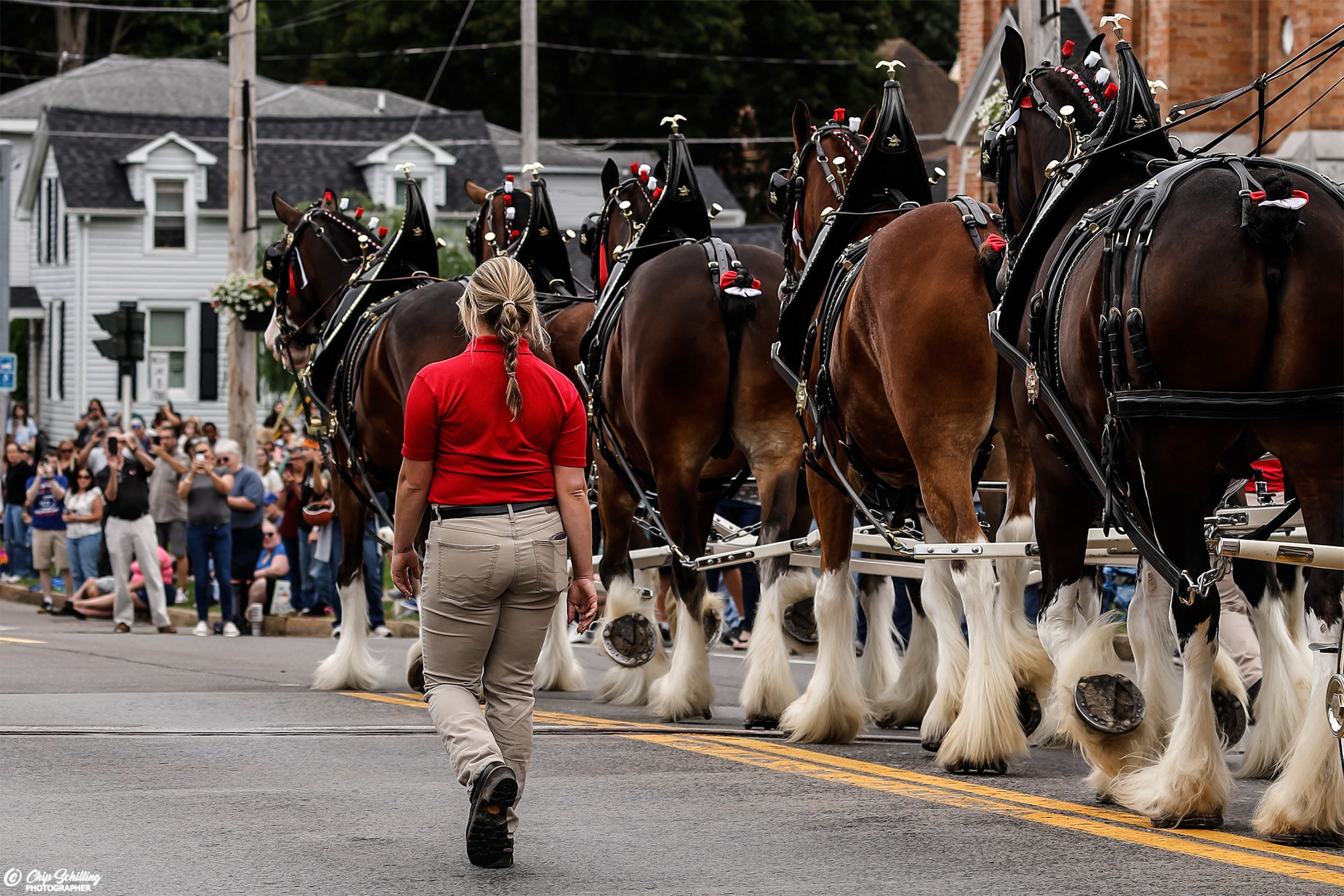 Big Hooves, Big History: Budweiser's Famed Clydesdales Commemorate Milestone 150 Yrs - in Baldwinsville NY by I Rock Shots, photo 17