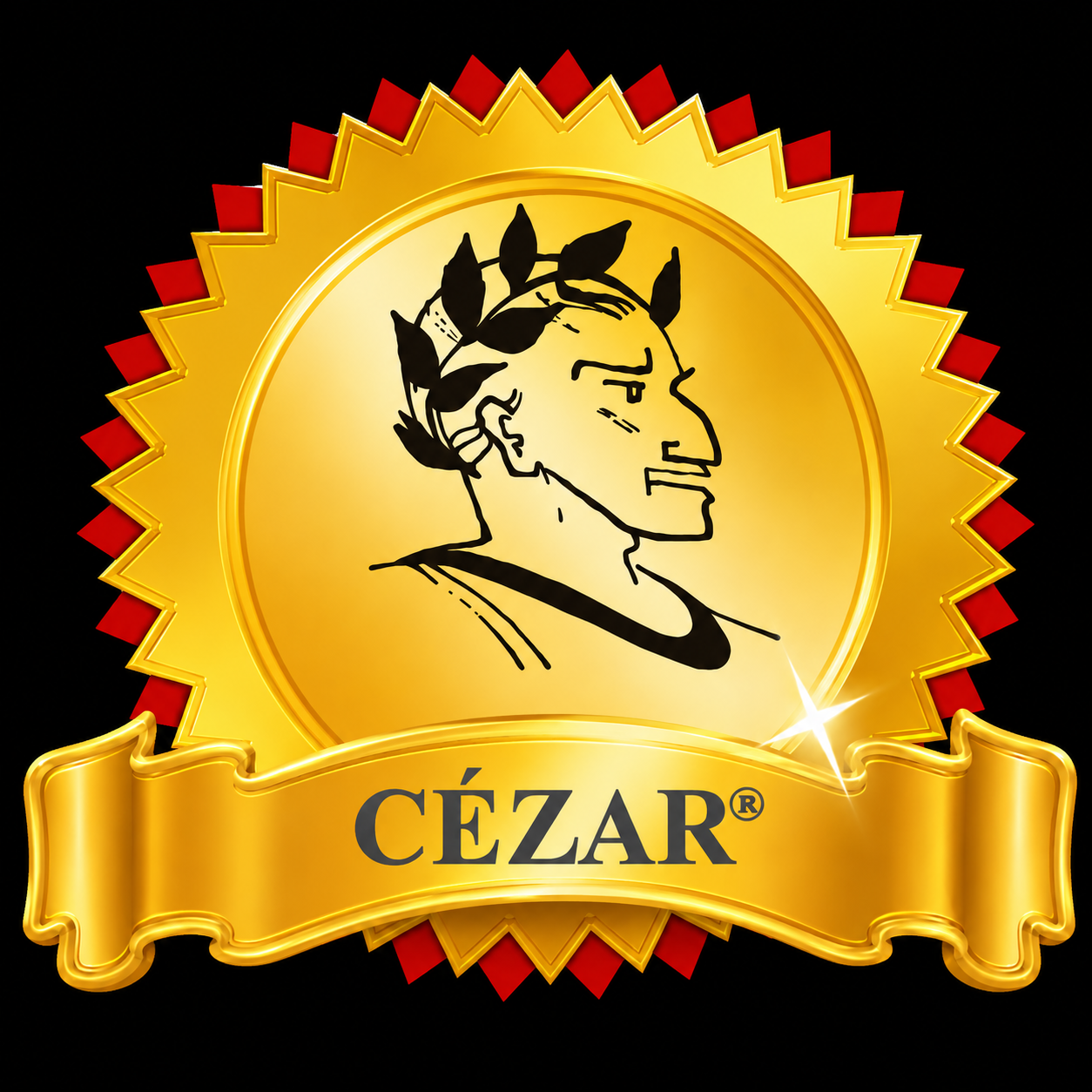 CÉZAR Partner