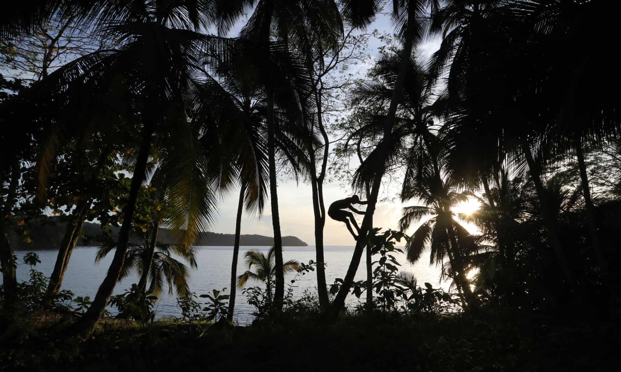 Panoramic view of São Tomé and Príncipe coastline, rainforest meeting the Atlantic