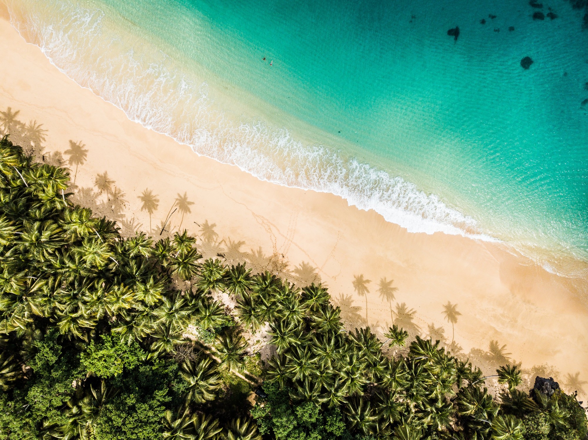 Beach and forest landscape on Príncipe island