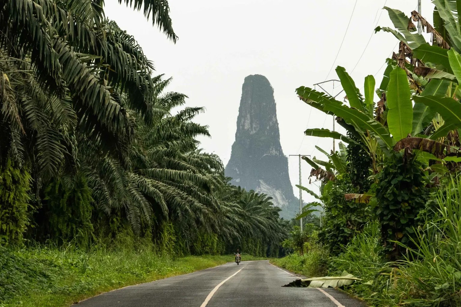 Floresta tropical primária e picos vulcânicos em São Tomé, o Galápagos Africano