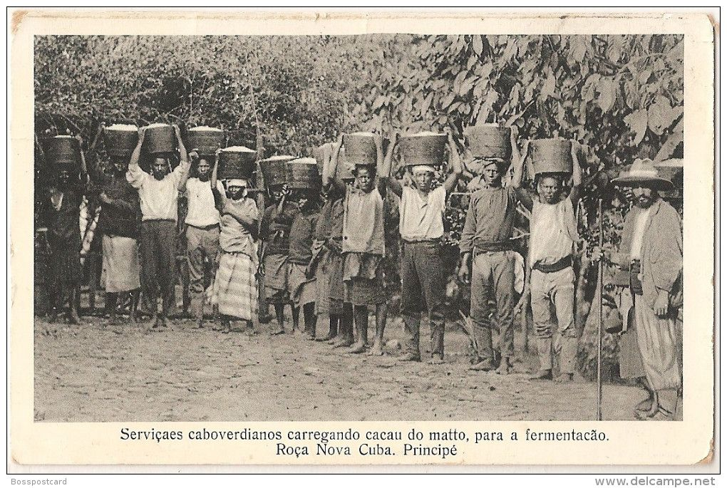 Cape Verdean workers carrying cocoa for fermentation, Roça Nova Cuba, Príncipe - historical photograph