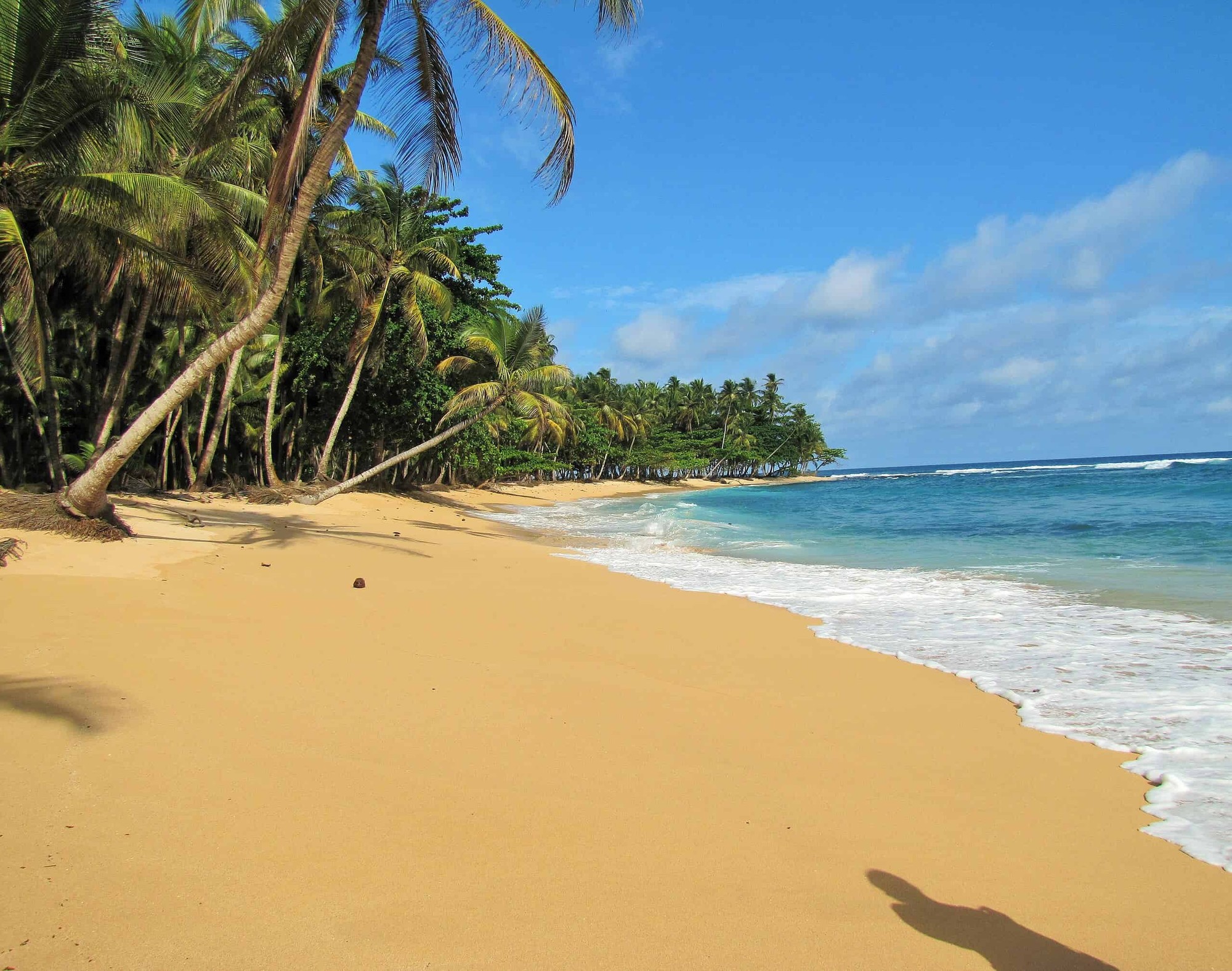 Areia dourada e palmeiras inclinadas na Praia Inhame na costa sul de São Tomé, com água turquesa clara