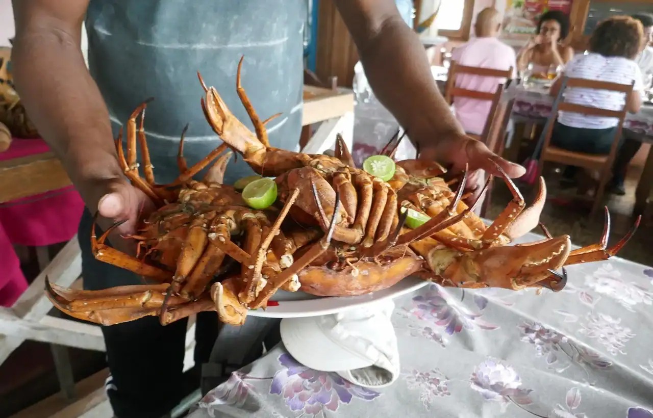 Santola crabs freshly caught in São Tomé and Príncipe