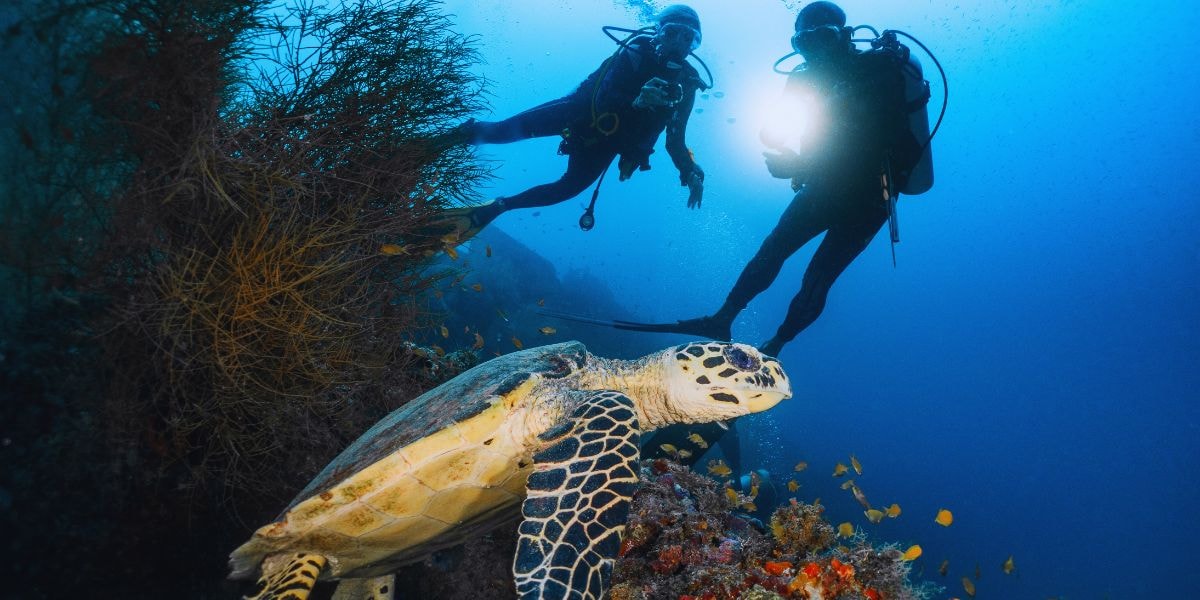 Mergulho em São Tomé e Príncipe