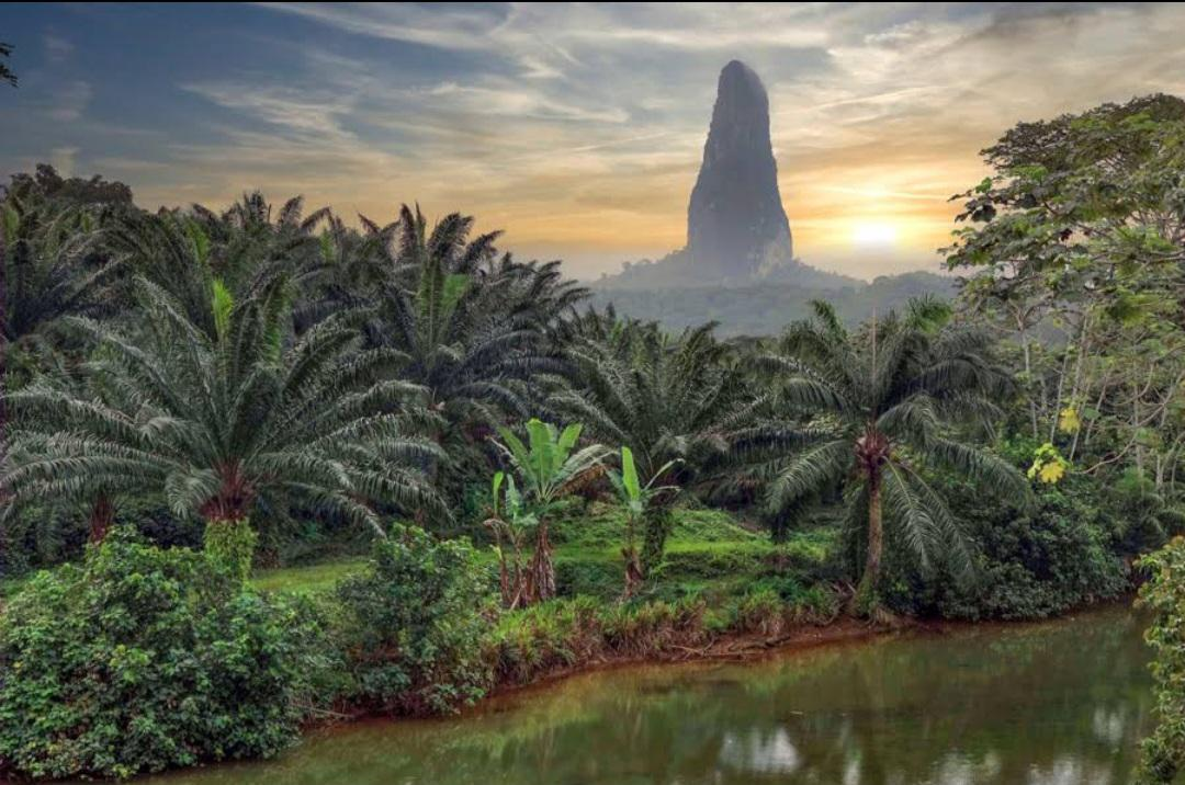 Pico Cão Grande above palm trees and rainforest in southern São Tomé