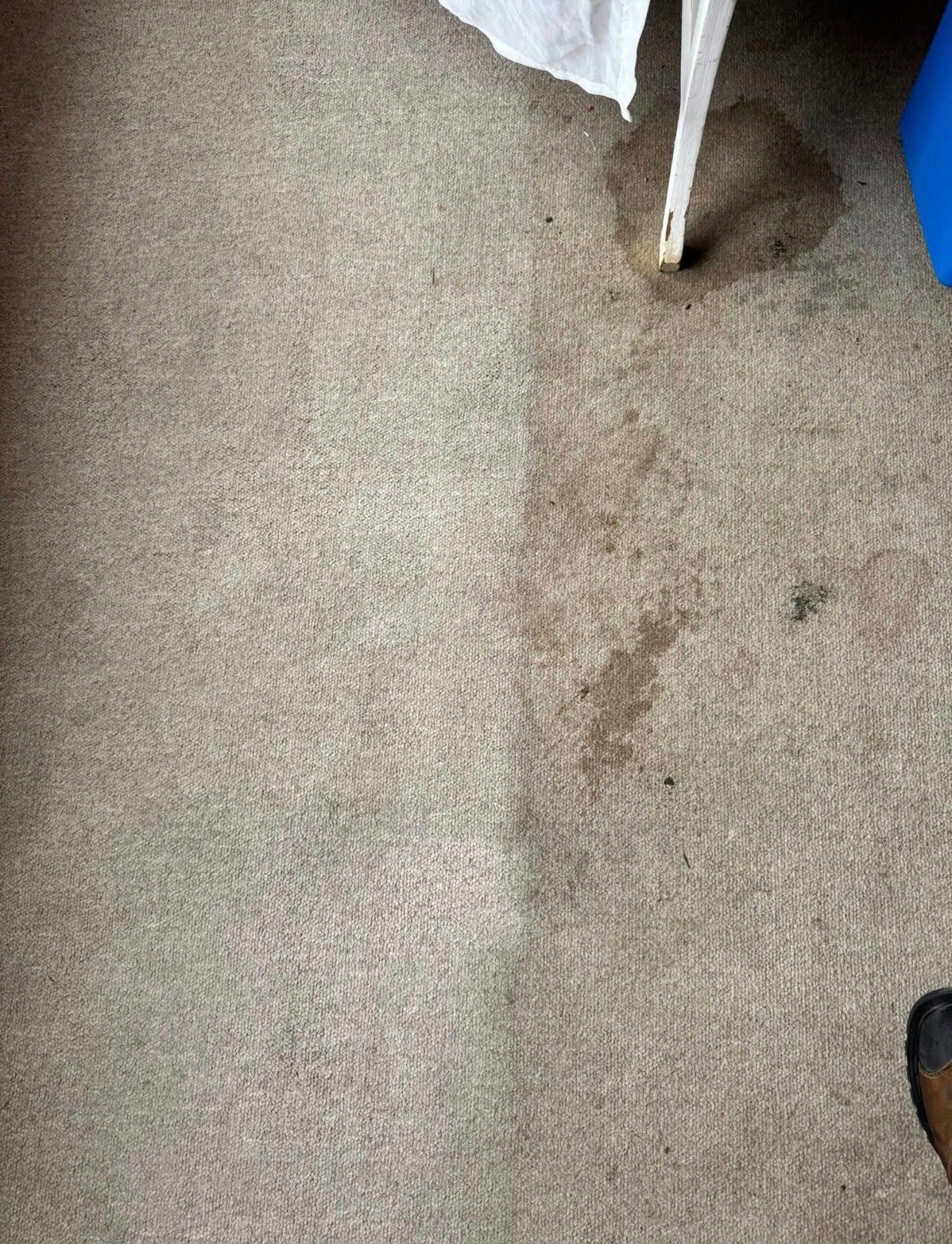 Stained Carpet – Before Treatment