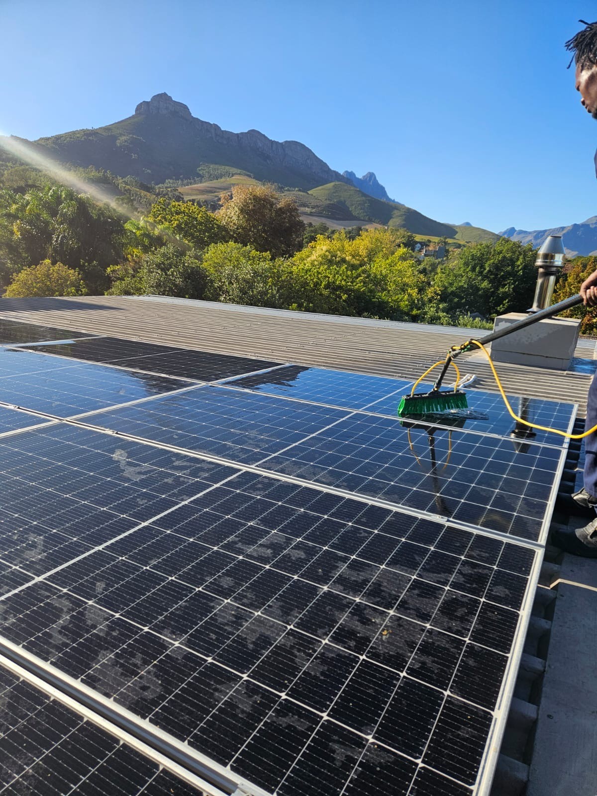 Solar Panel Deep Clean