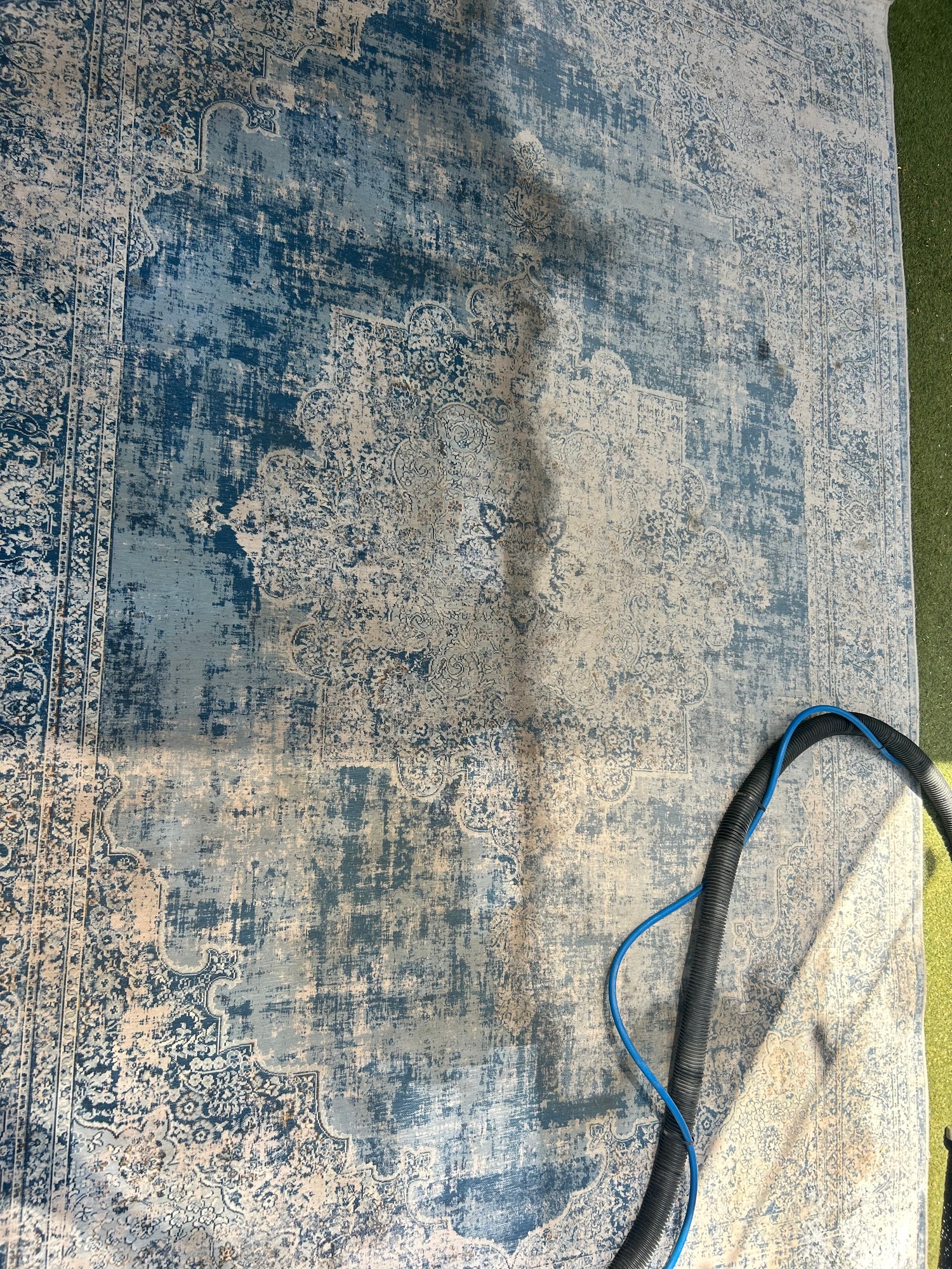 Carpet – Before & After
