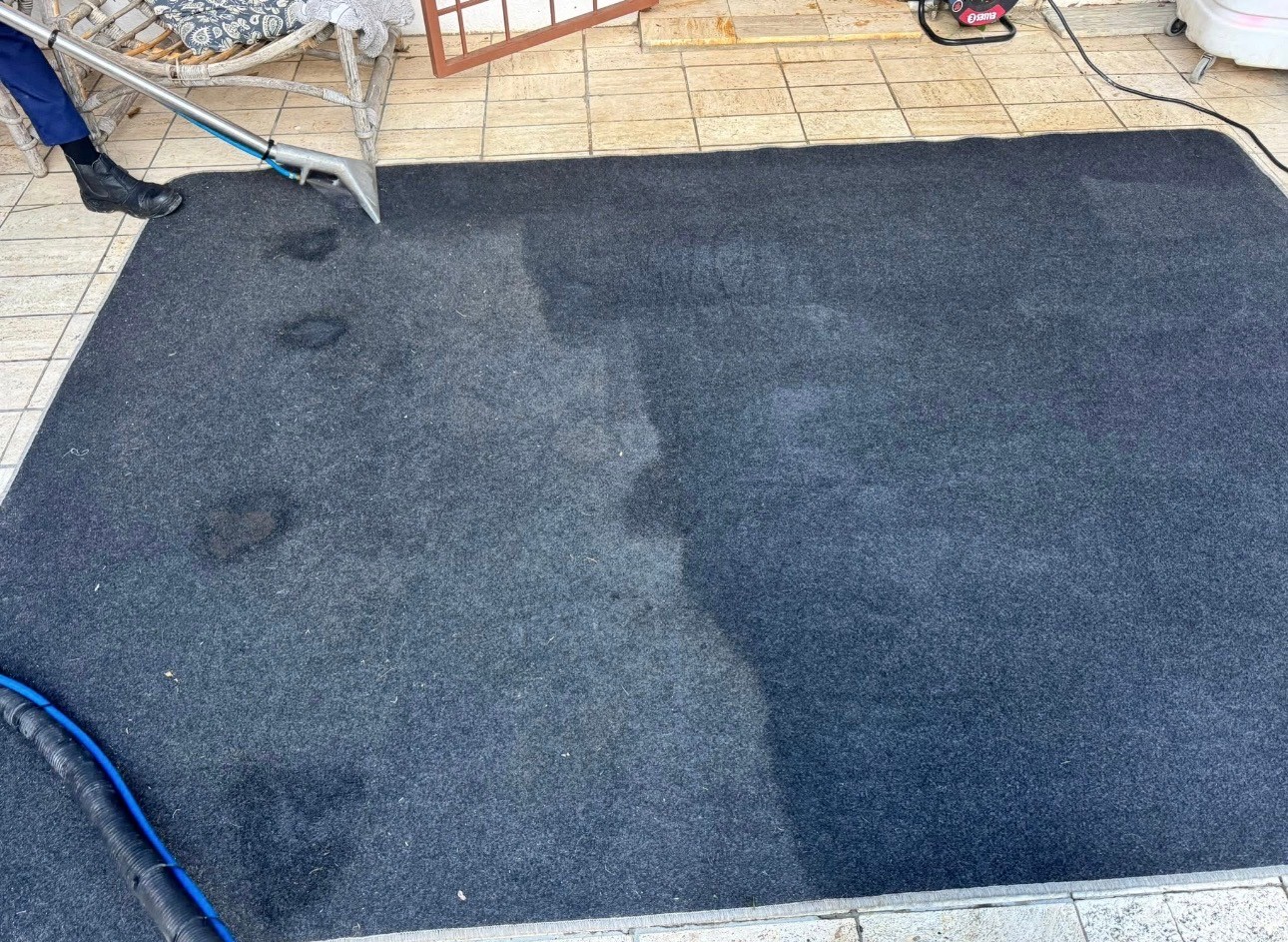 Dark Carpet Steam Clean