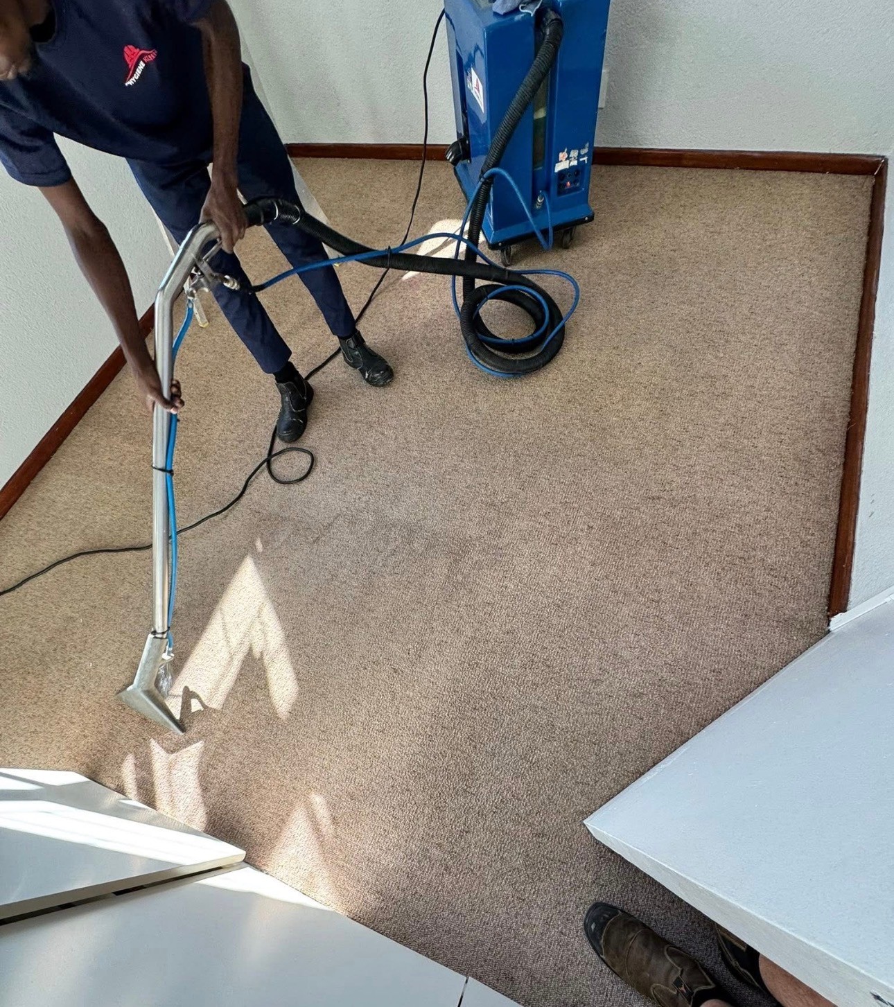 Residential Carpet Restoration