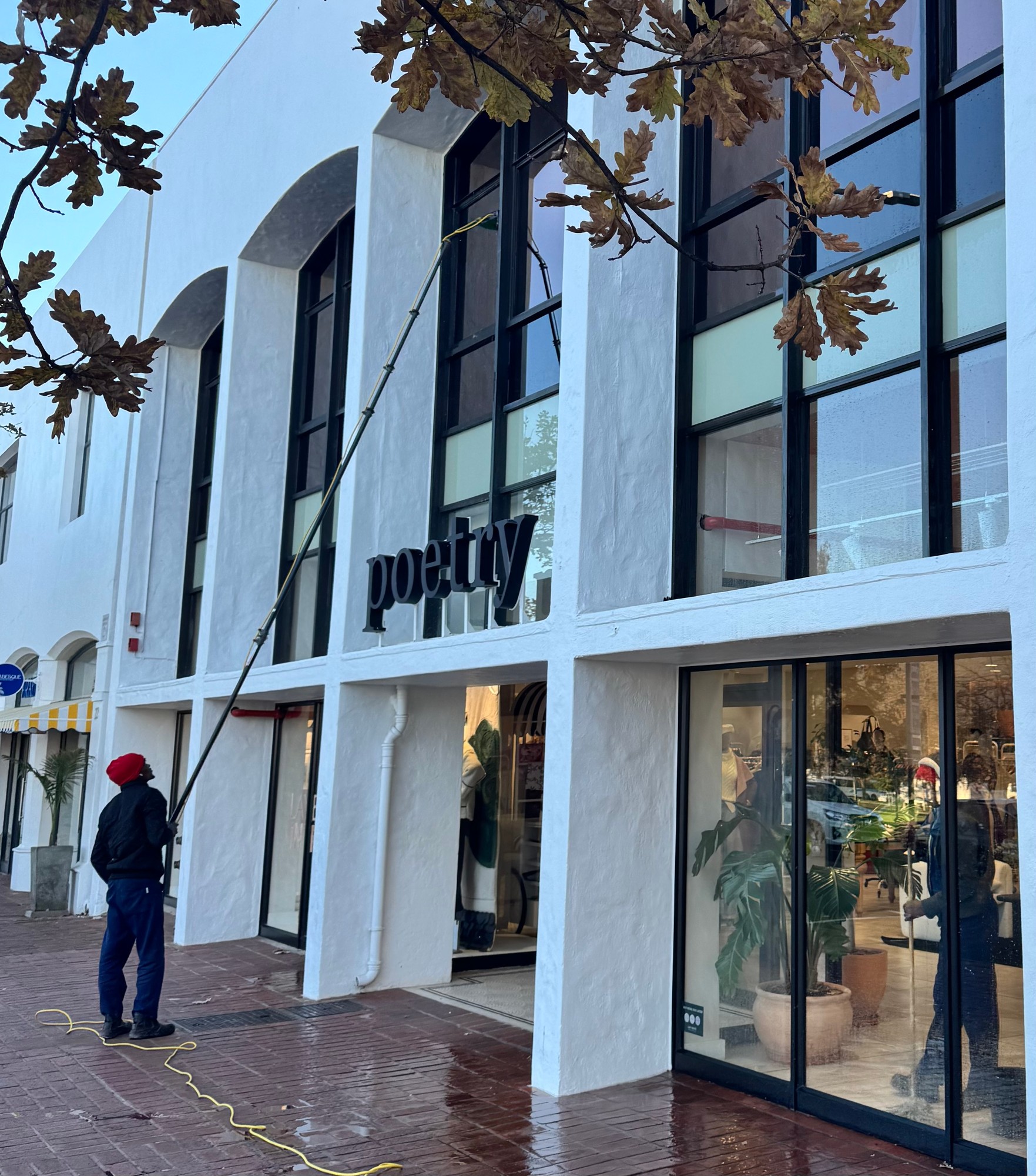 Storefront Windows