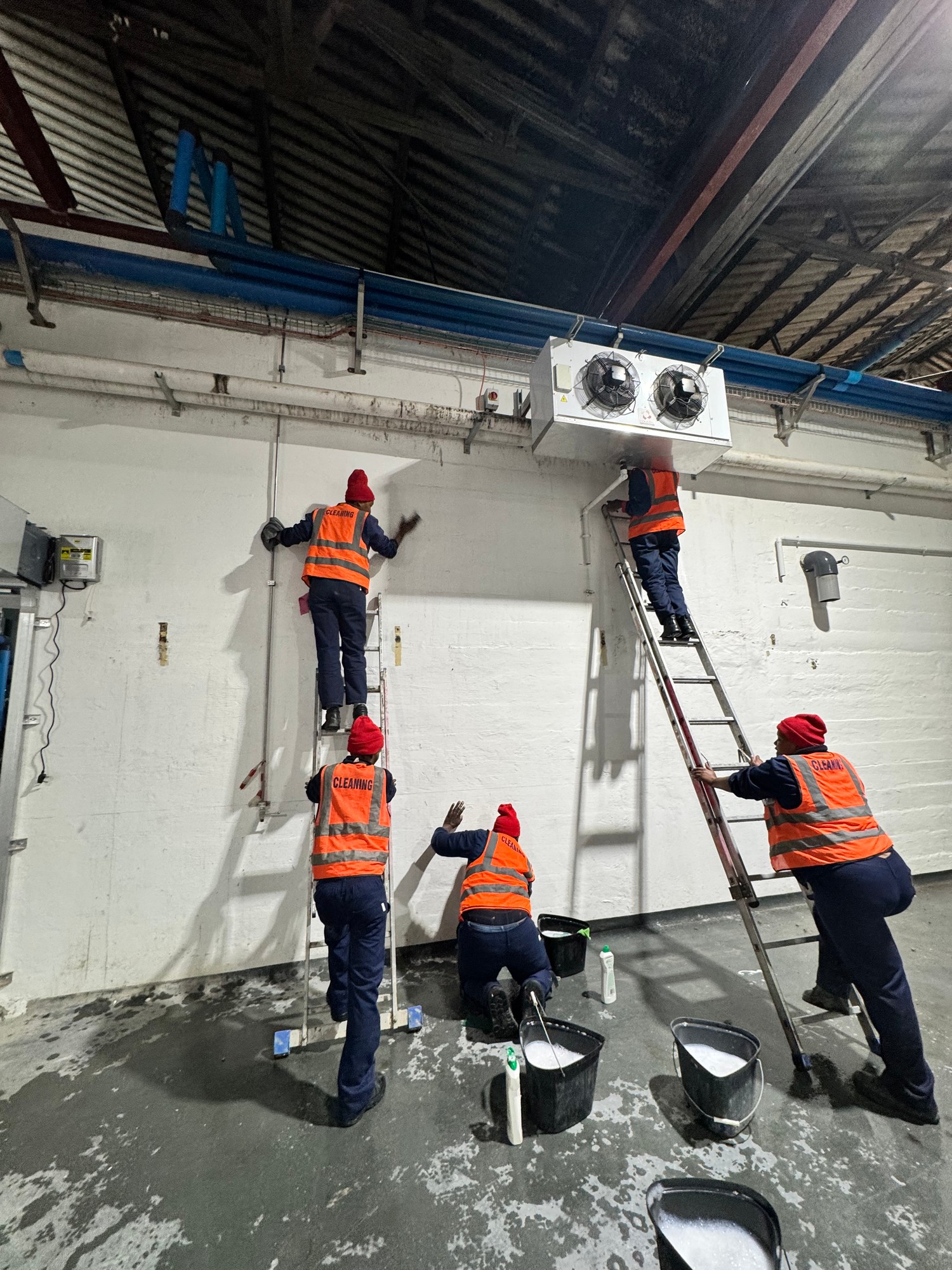 Hygiene Kleen team cleaning industrial cold room