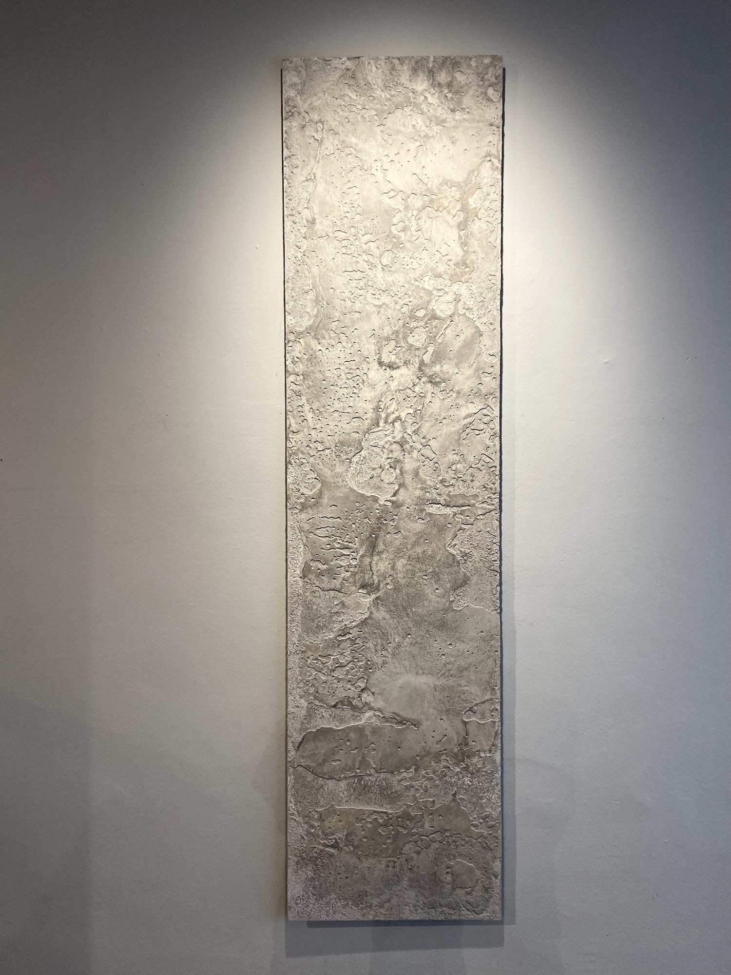 Detail of the Antarctic Silence relief surface