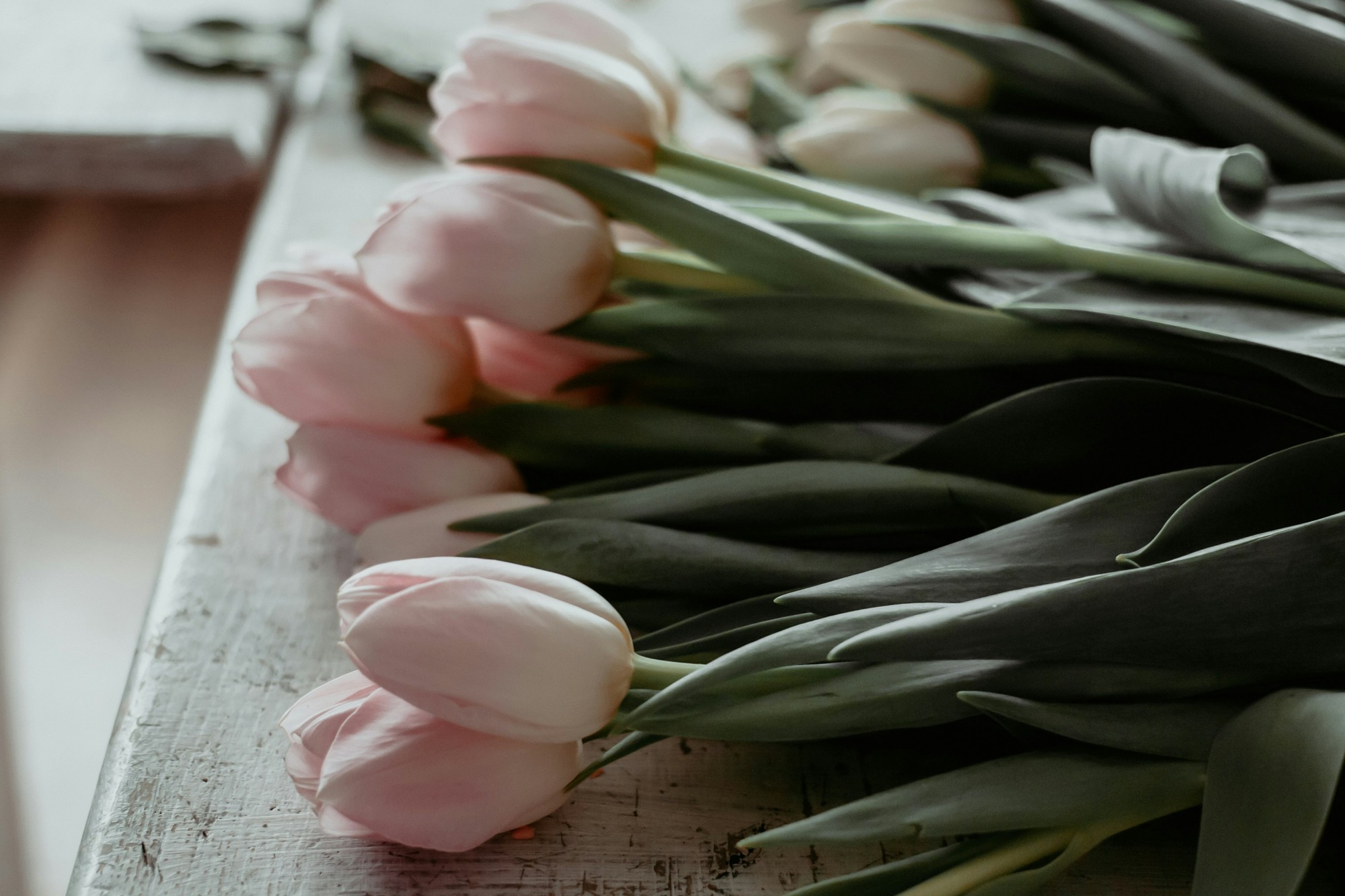 A florist arranging stems beside a studio window