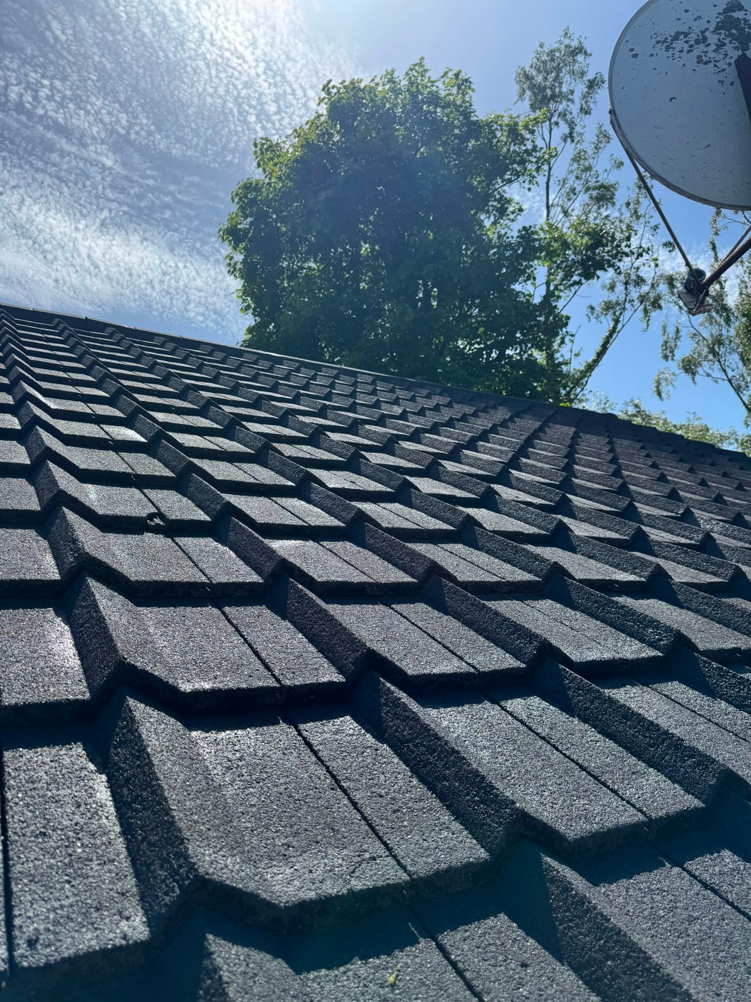 Roof Coating by Dalguise Coatings