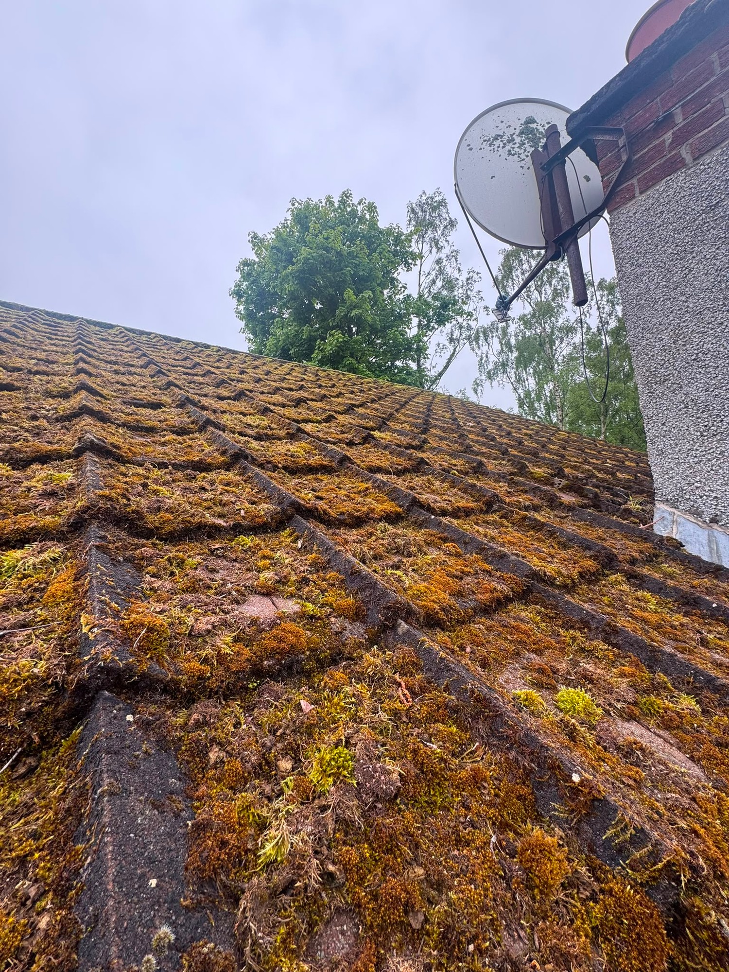 Moss-covered roof Dundee — before roof coating treatment by Dalguise Coatings