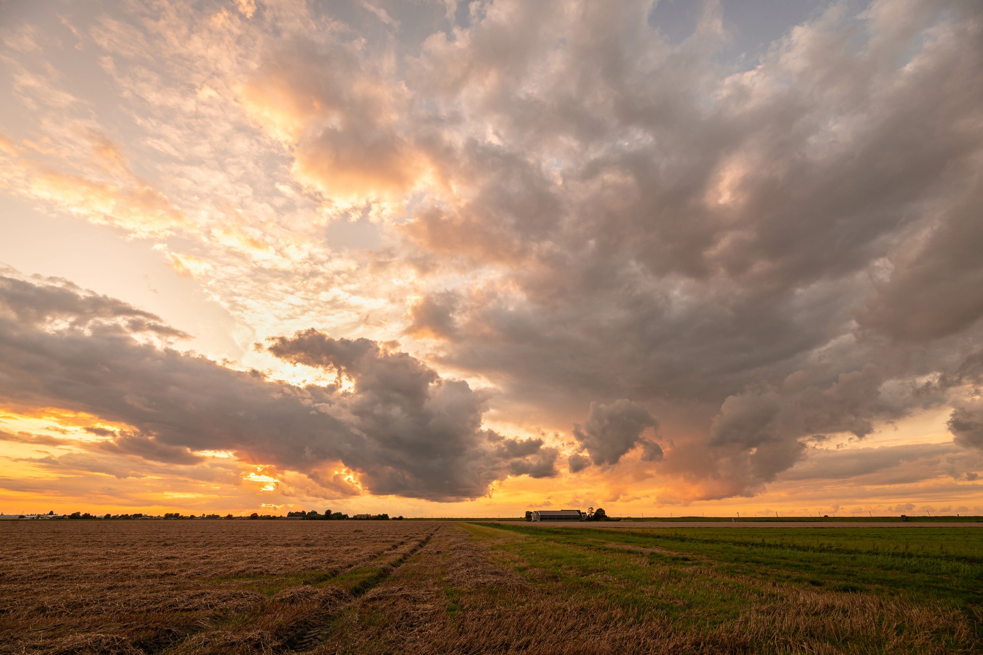 Open farmland at sunset